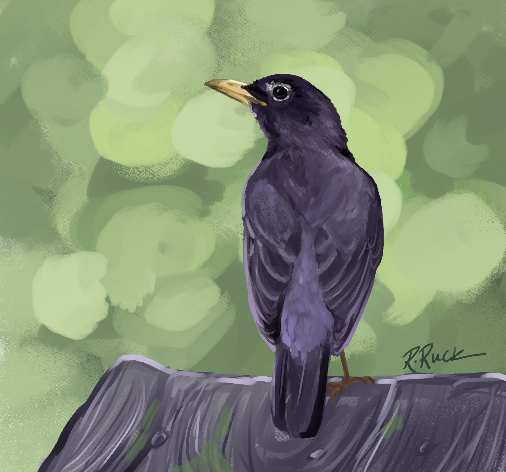 bird.png