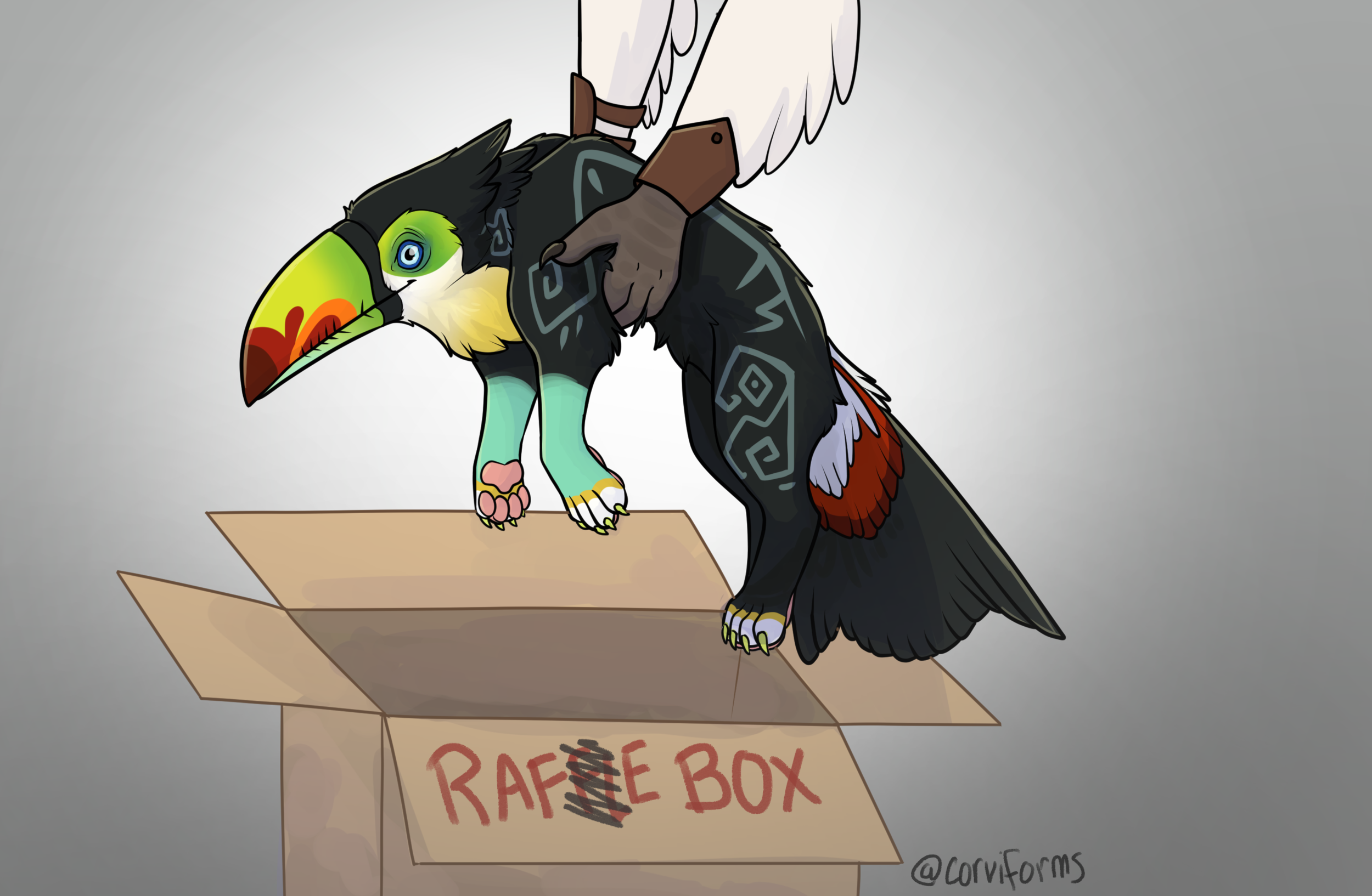 rafe box color.png