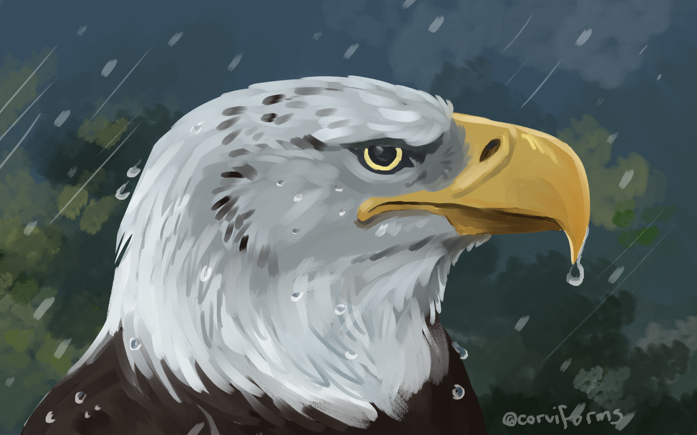 wet eage.png