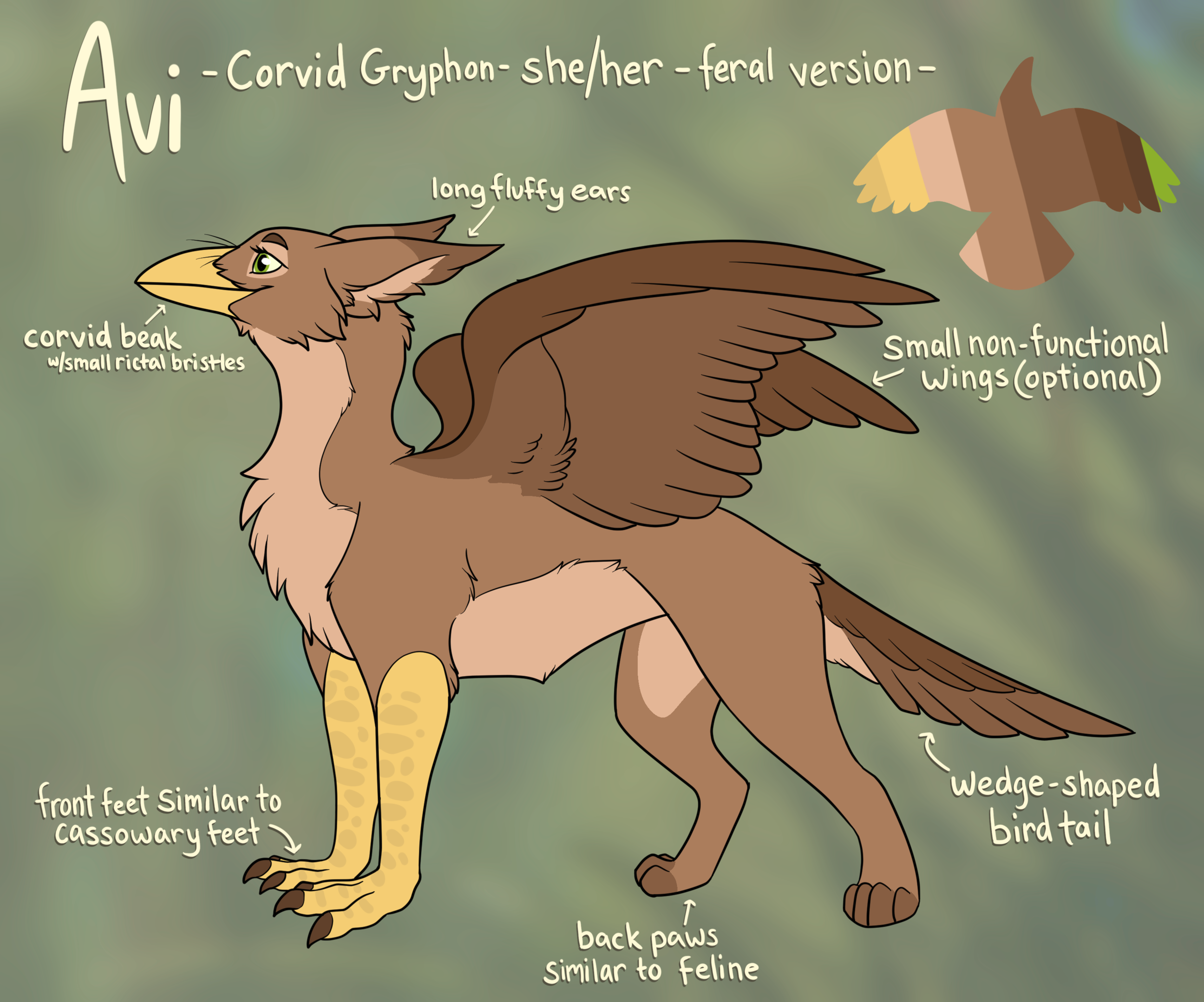 feral ref.png