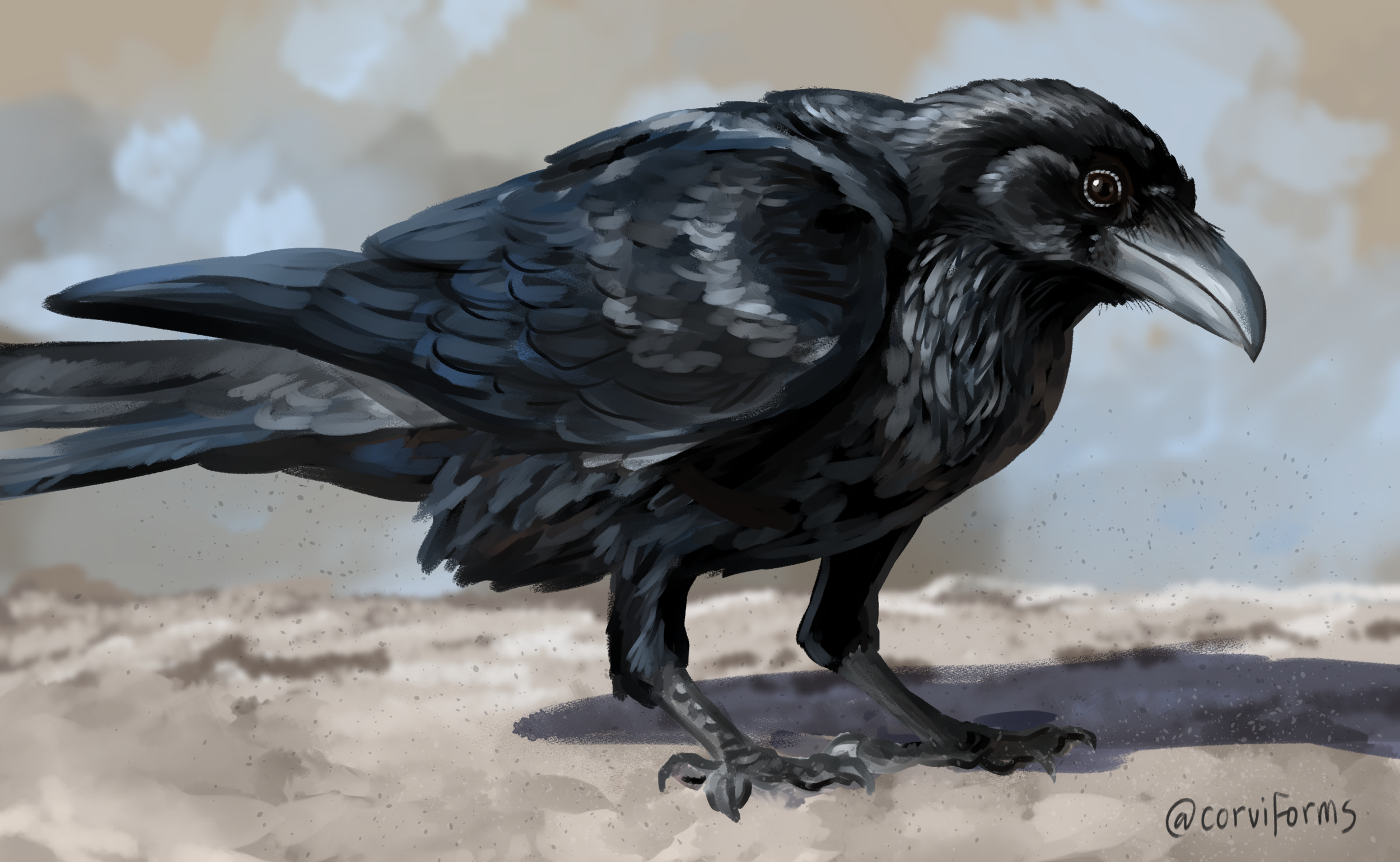 raven.png