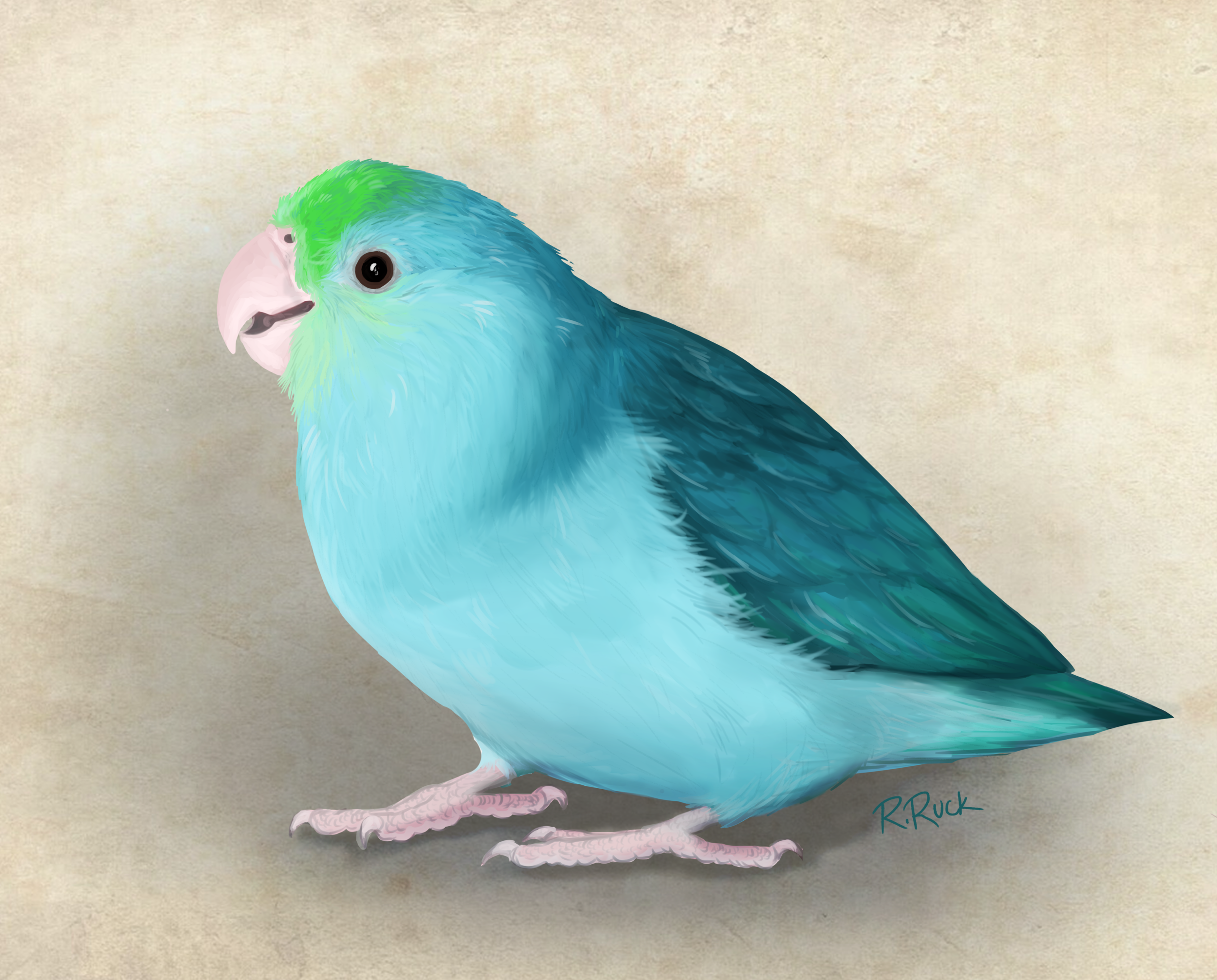 elliecard13.png