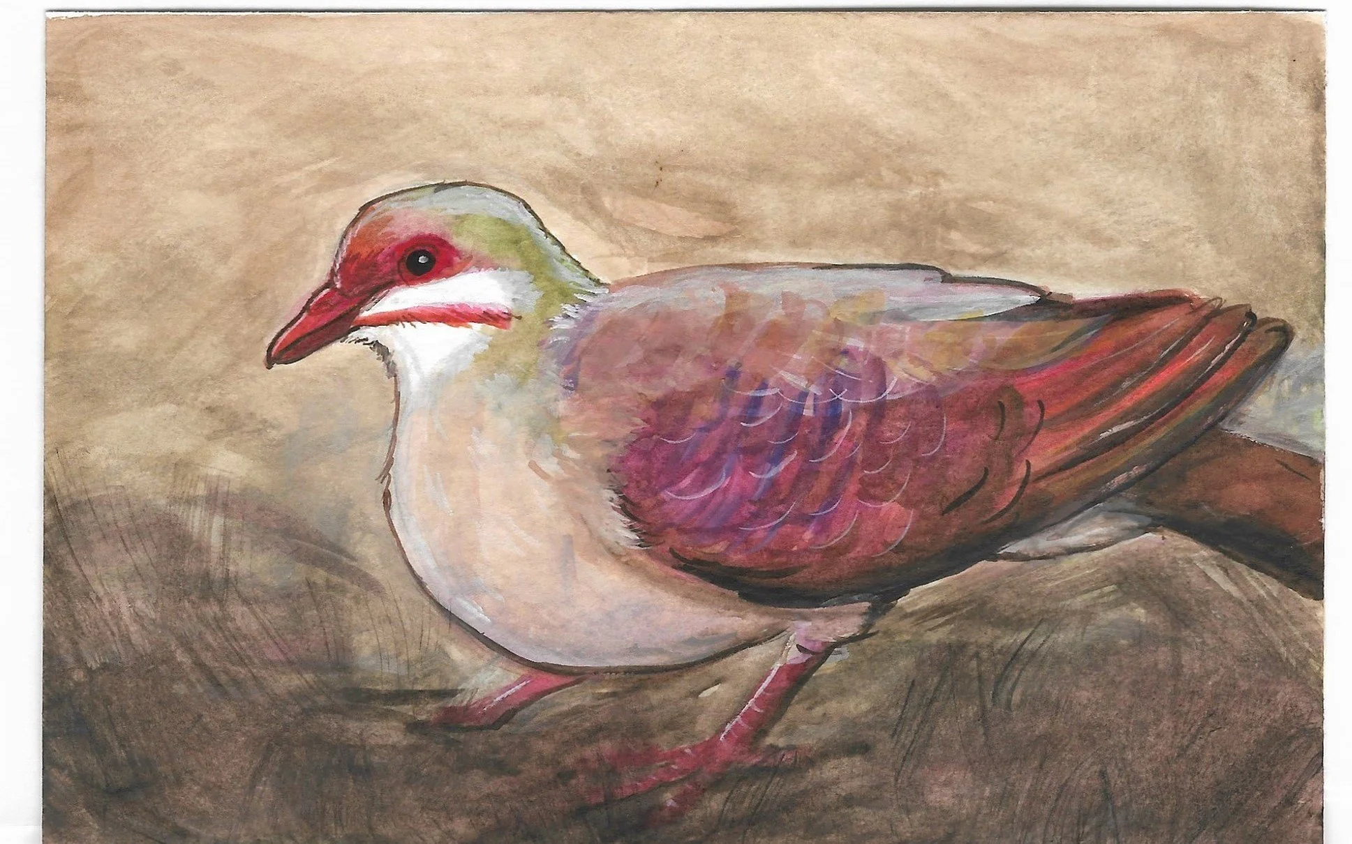 Photo_2021-08-04_223248 (5).jpg