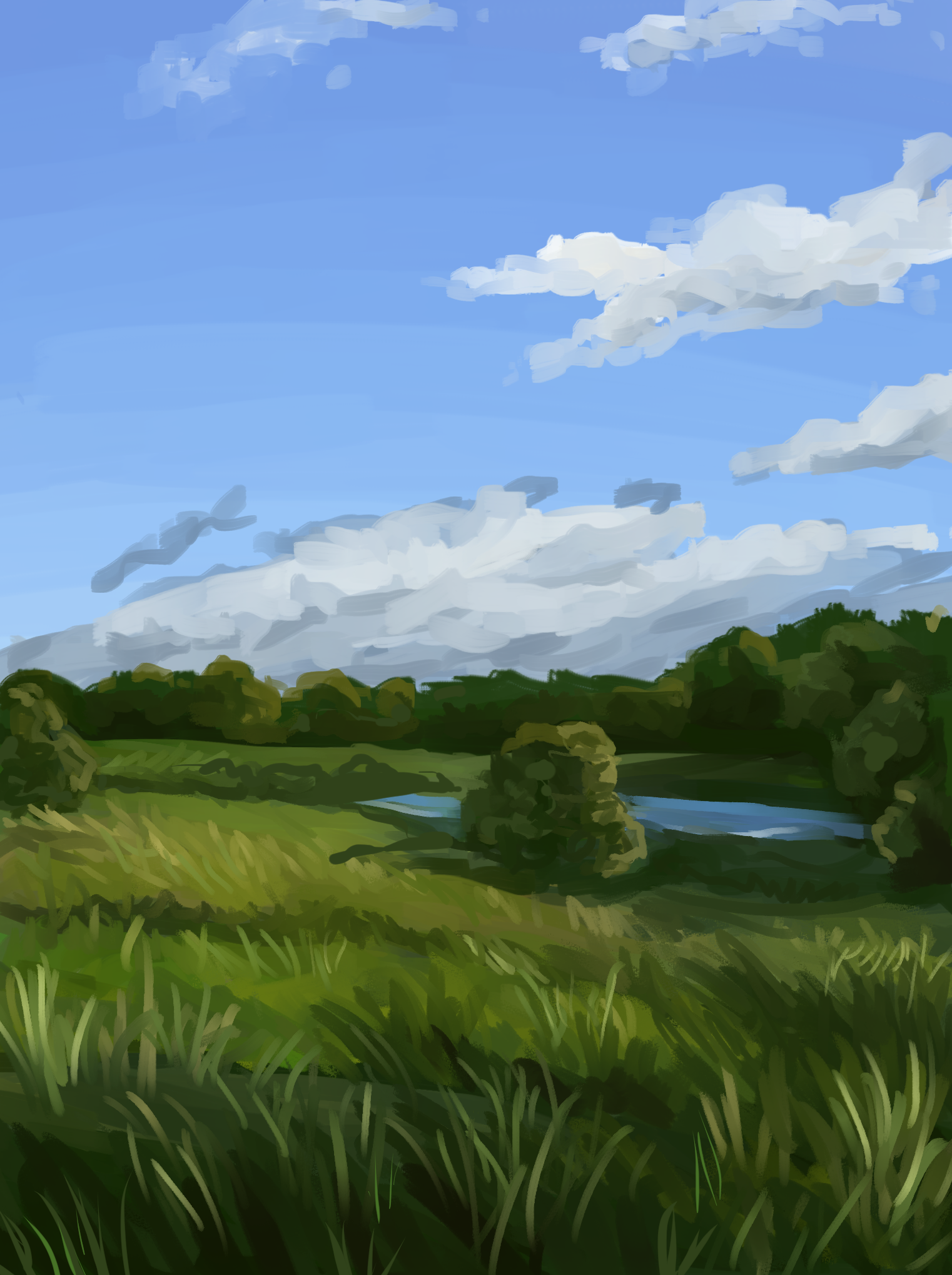 landscape.png