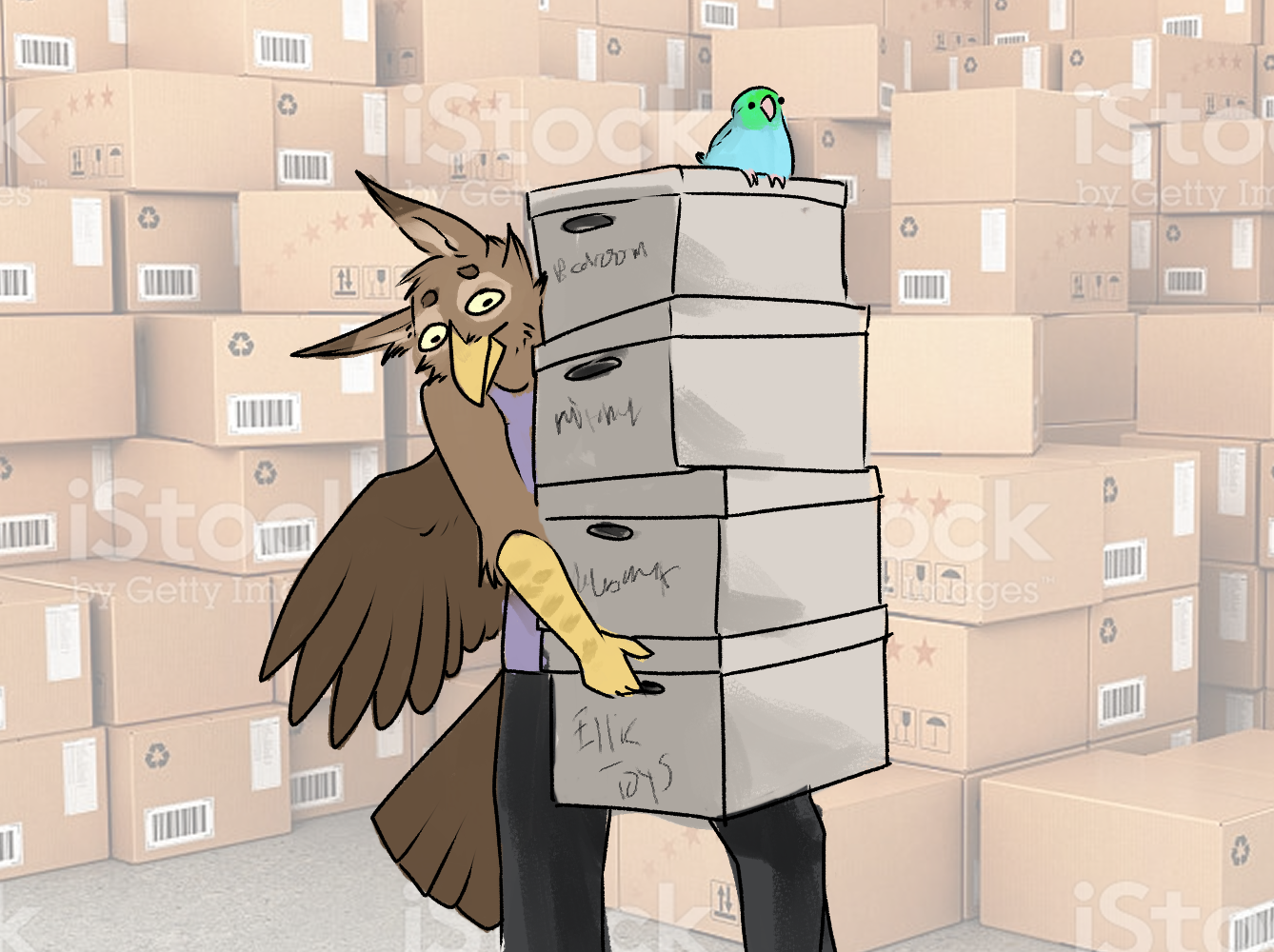 ellie boxess.png