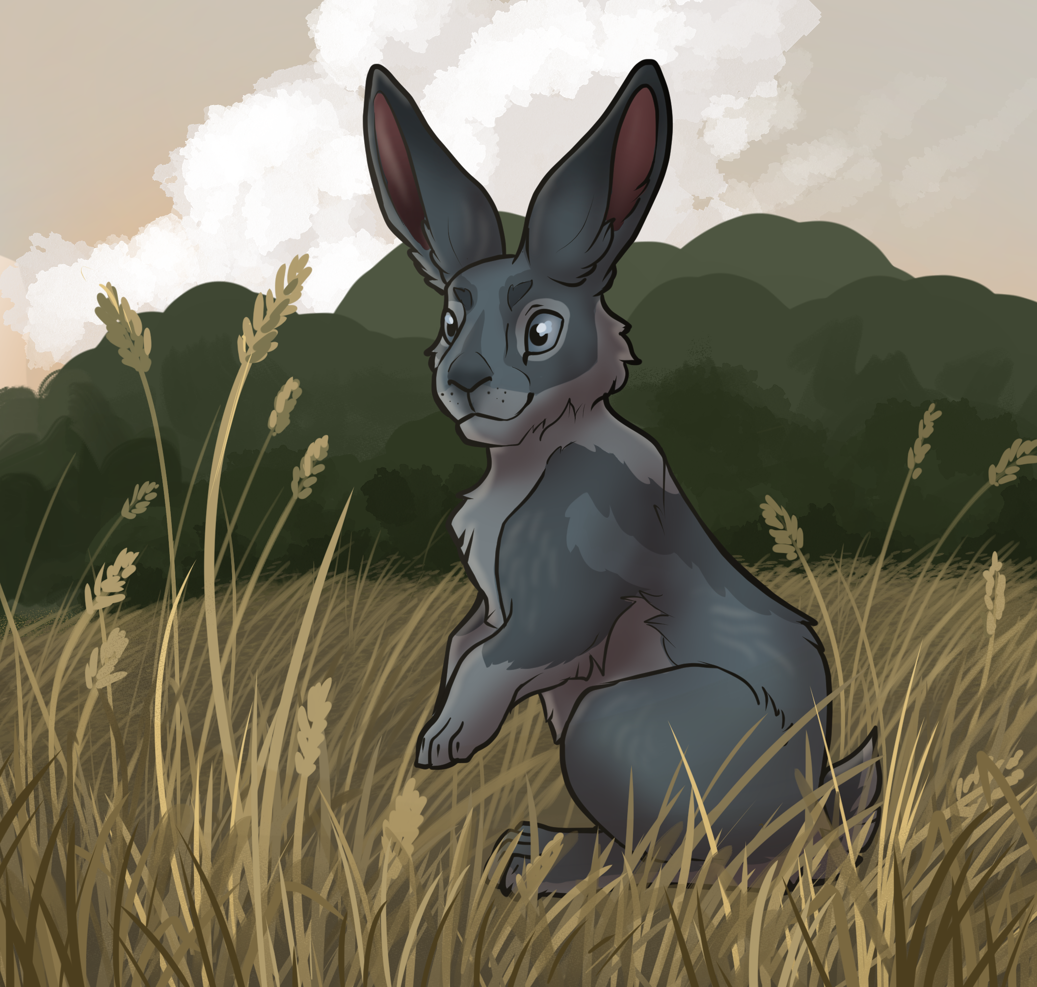 rabbit shading.png