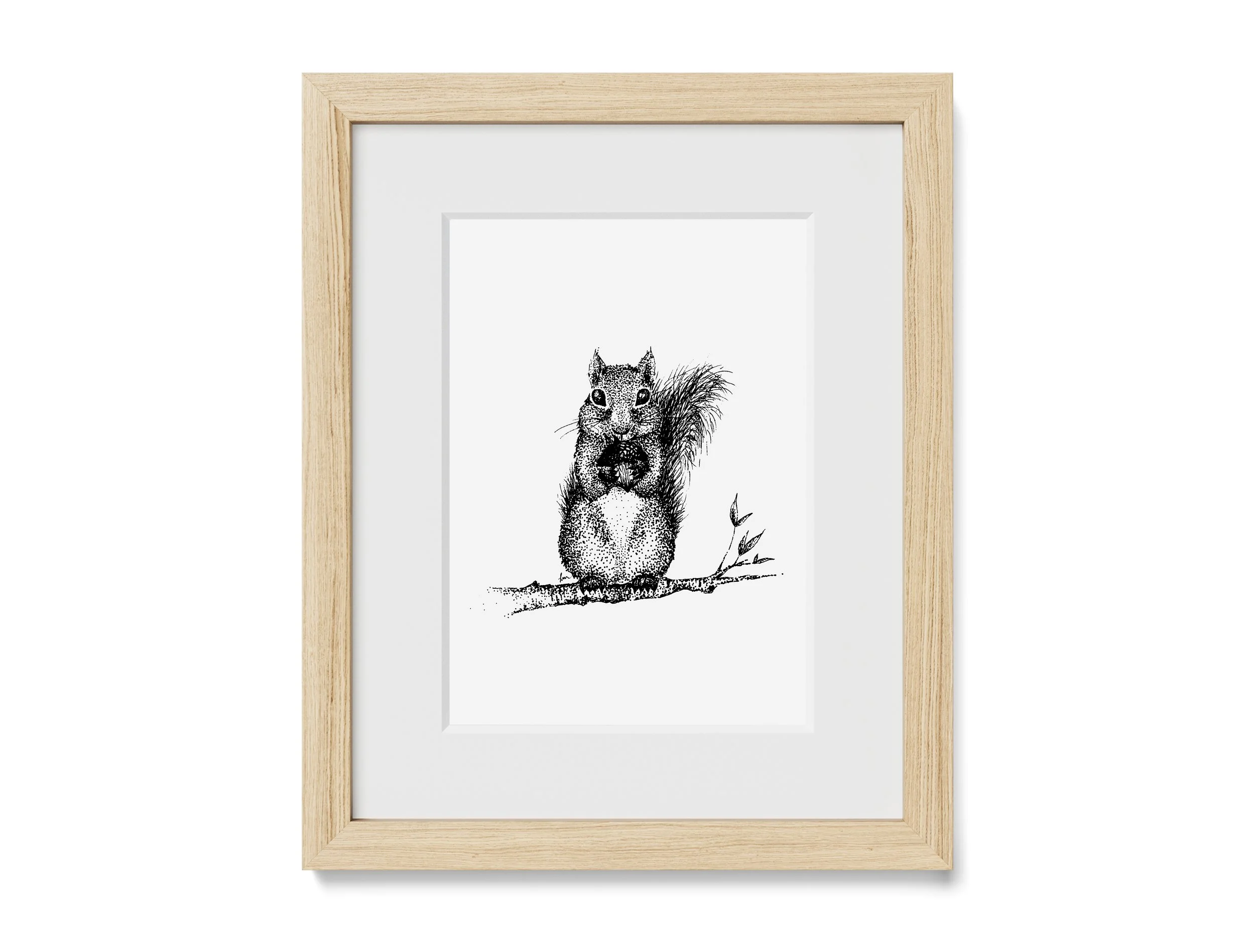 Wally the Squirrel Print