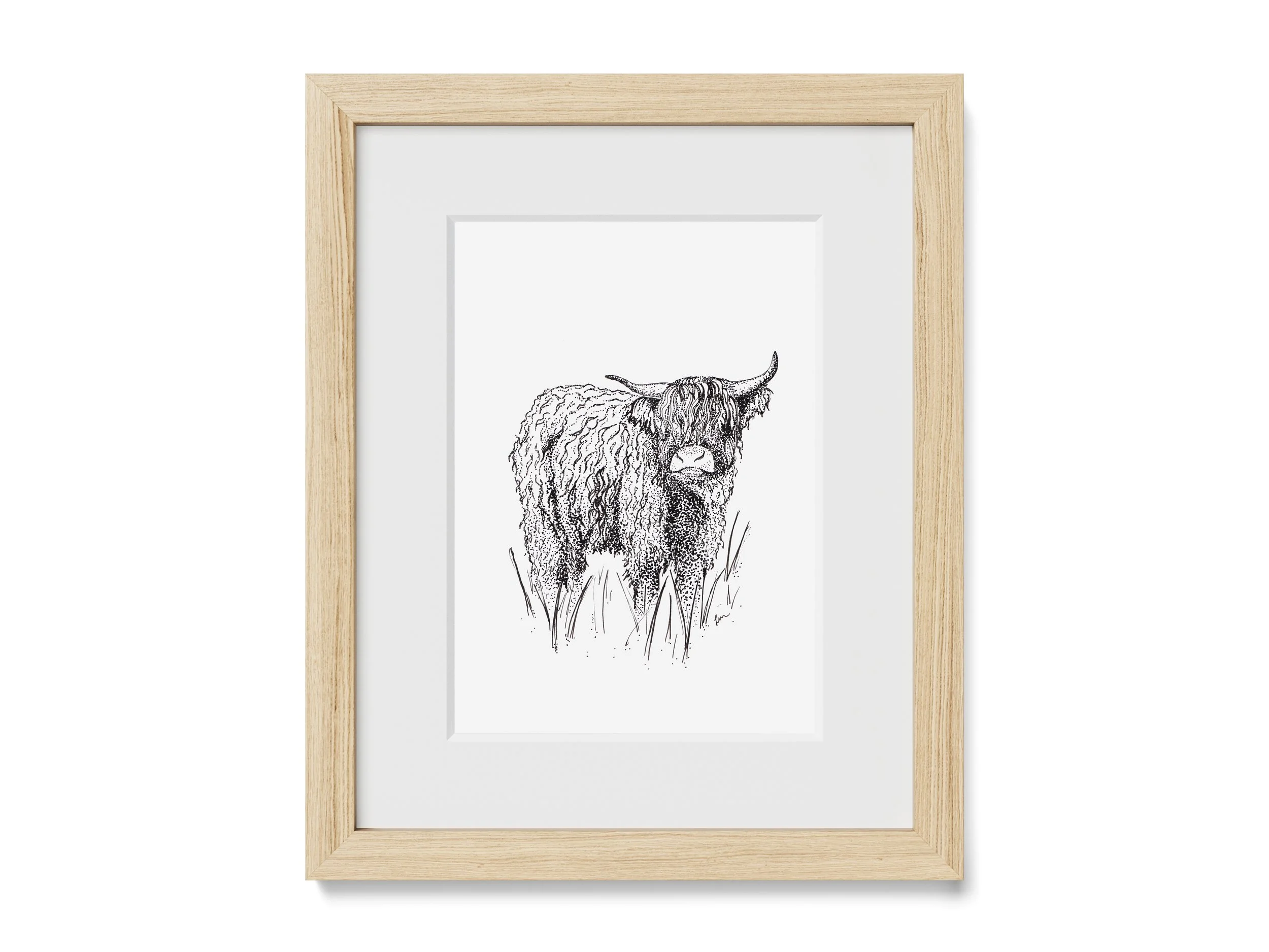 Scottish Highland Cow Print