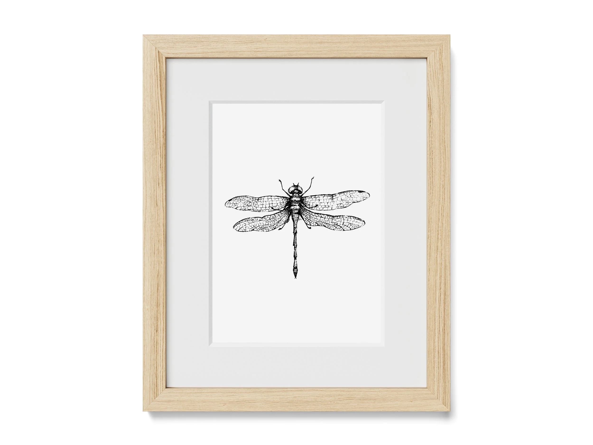 Dragonfly Print