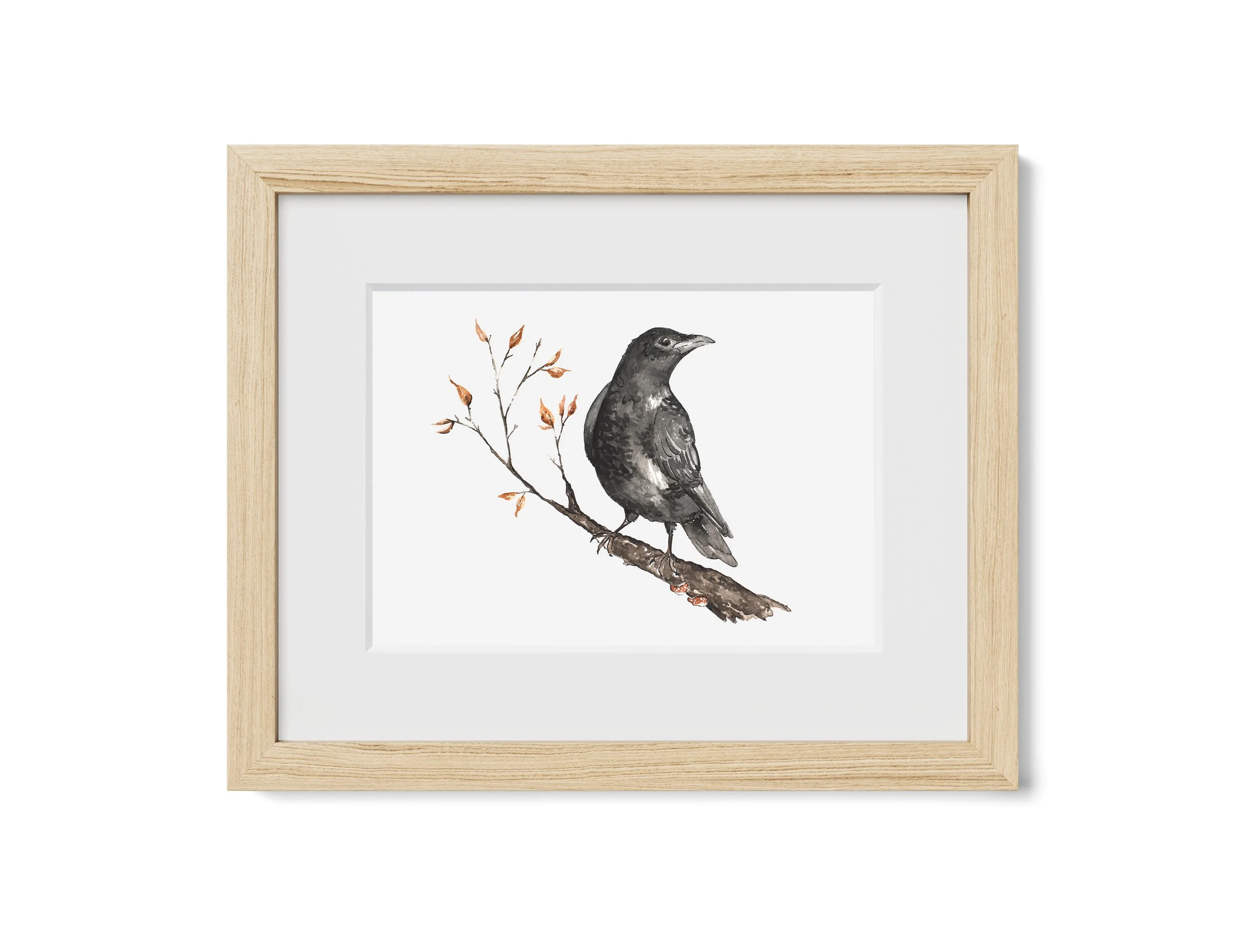 Autumn Perch: October 2025