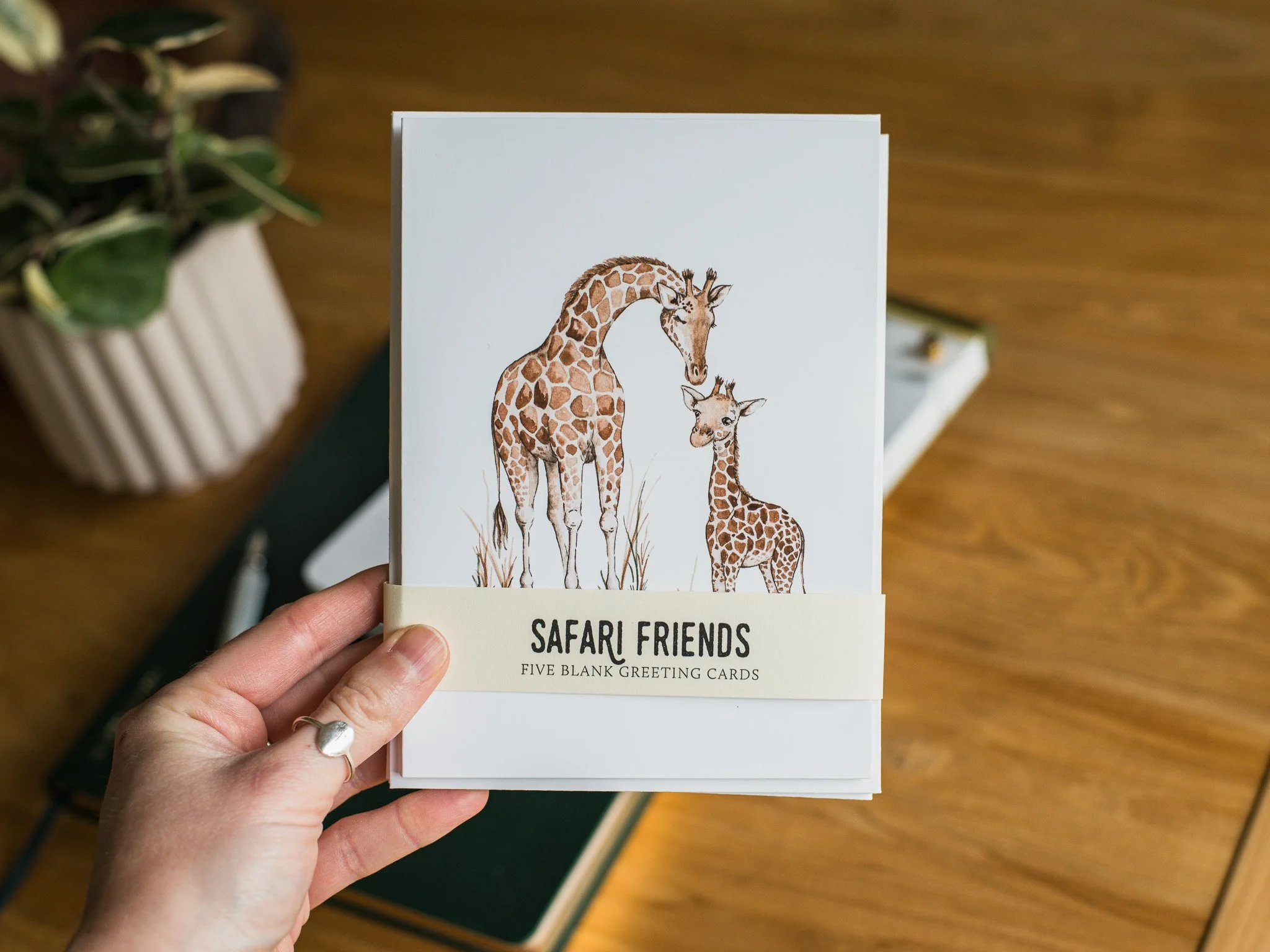 Meet the Safari Friends Collection
