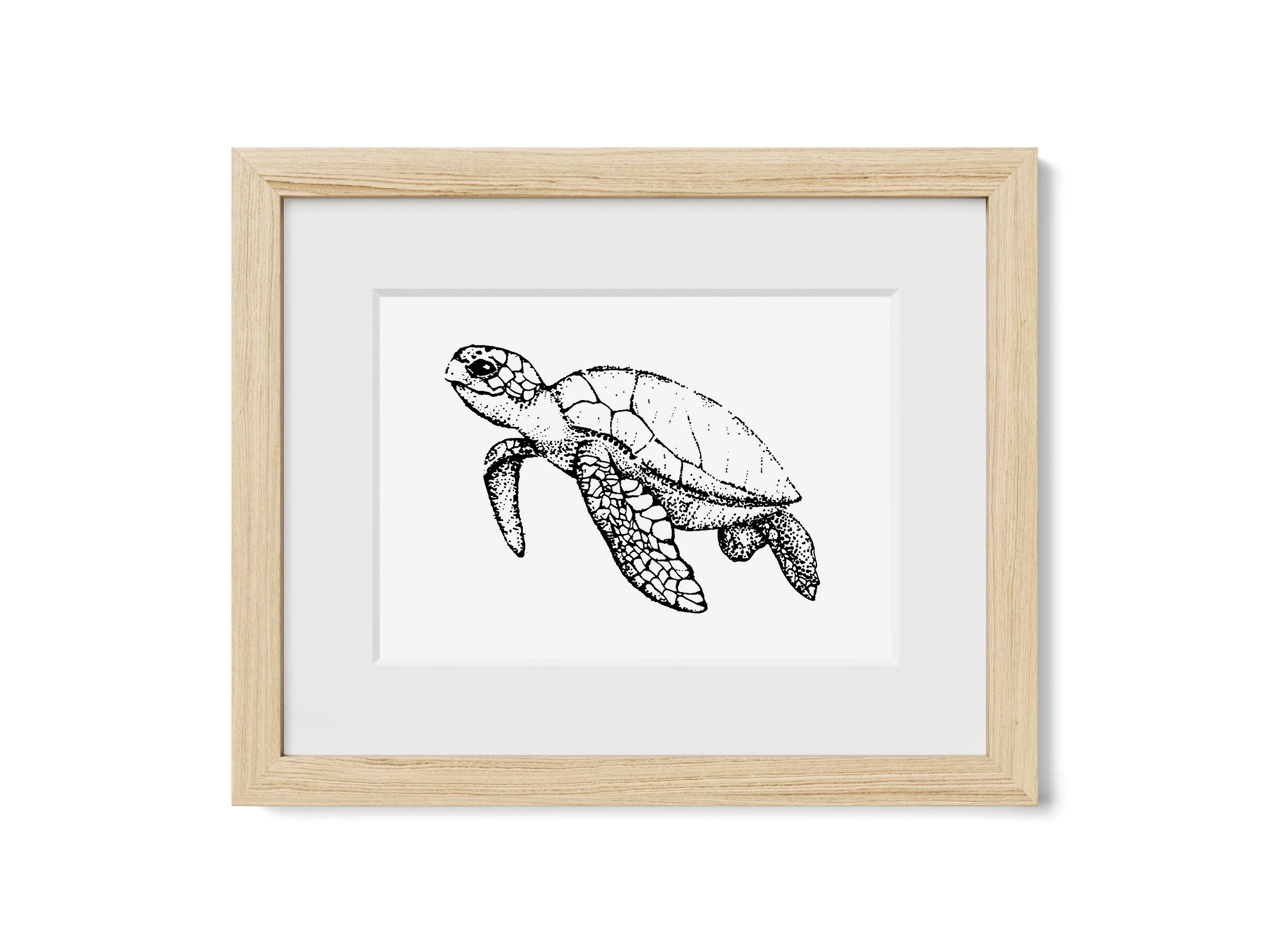 Sea Turtle Print