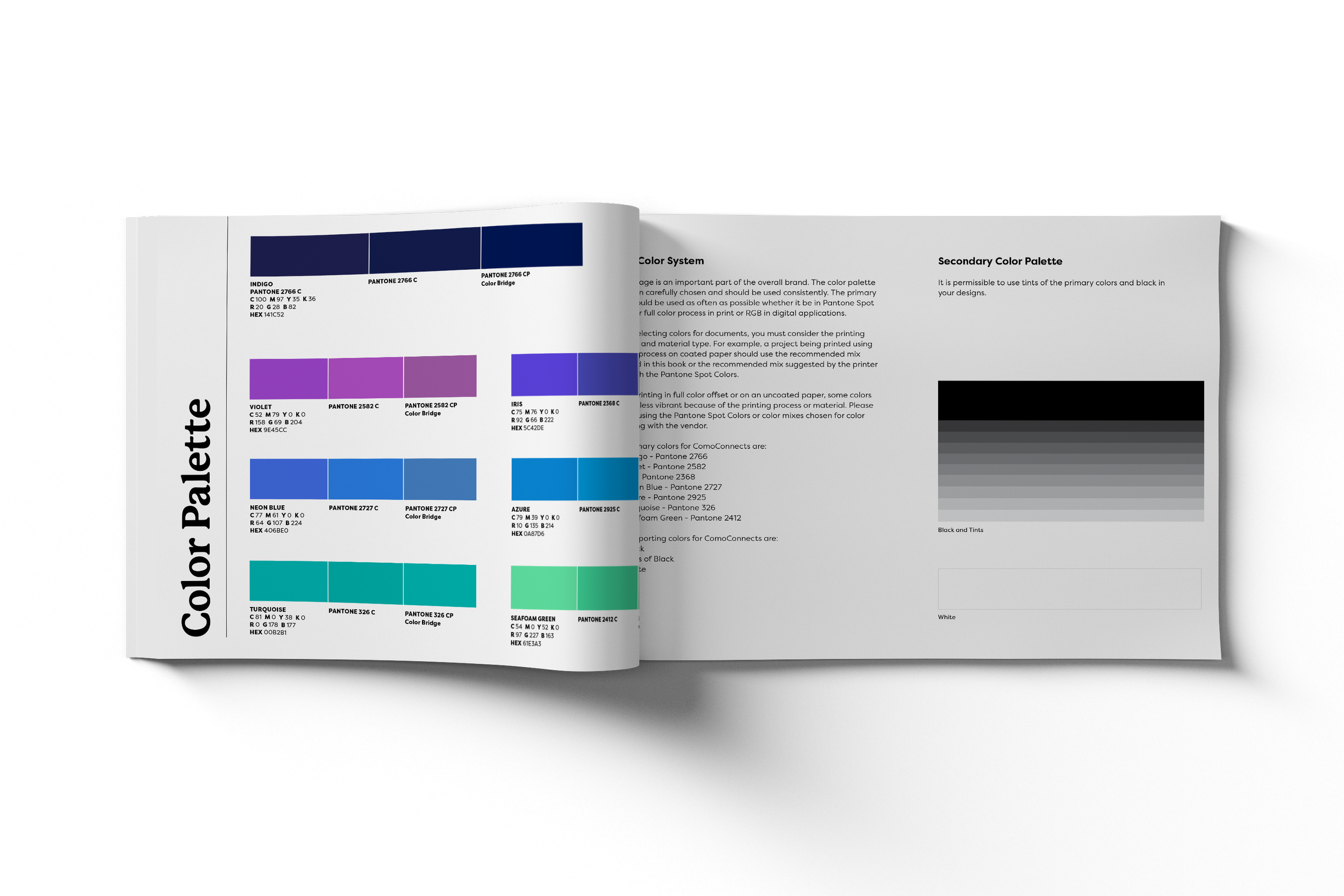 ComoConnects_LandscapeMagazineBookMockups-ColorPalette.png