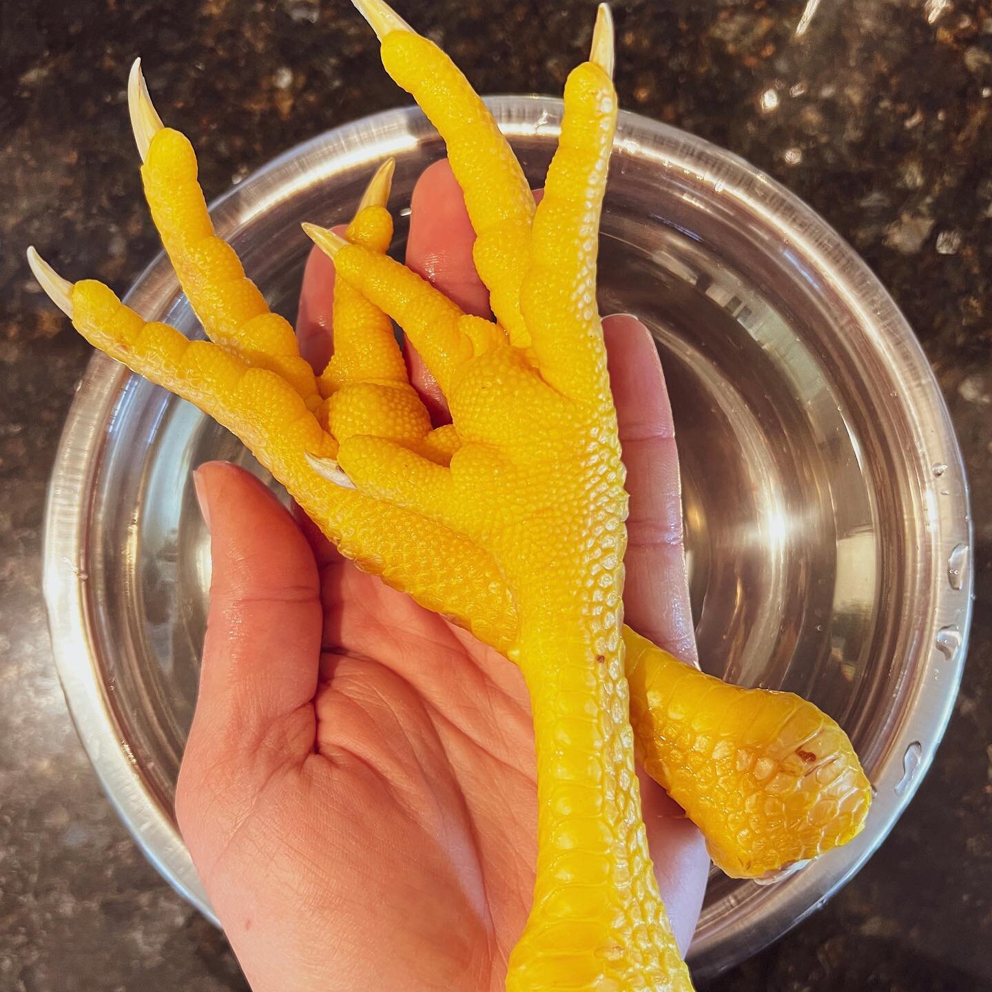 Adding these beautiful chicken feet to our bone broth this morning, from chickens we grew and harvested. Chicken feet add so much goodness to bone broth, it will jiggle like jello.

Just boil them for 20 seconds, pop them in cold water. Then peel the