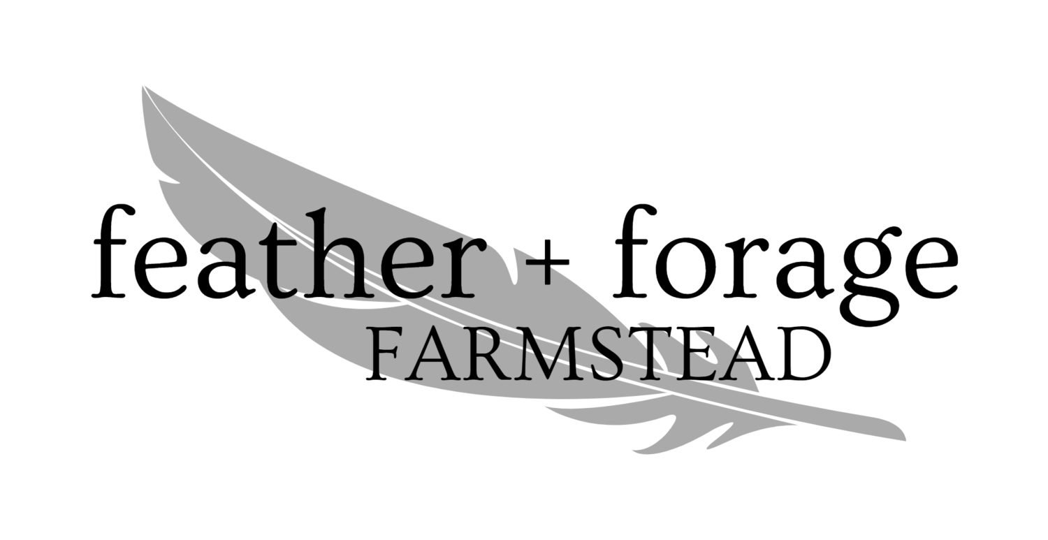 feather + forage | FARMSTEAD