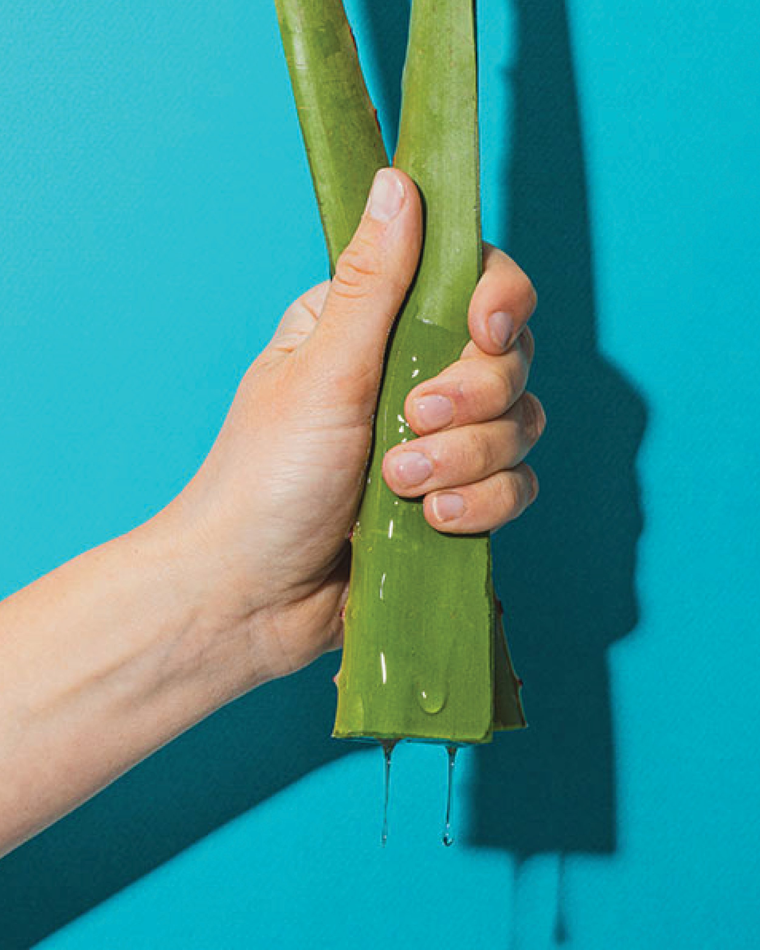 Pitaya_AloeVera_Website_Layouts3.jpg