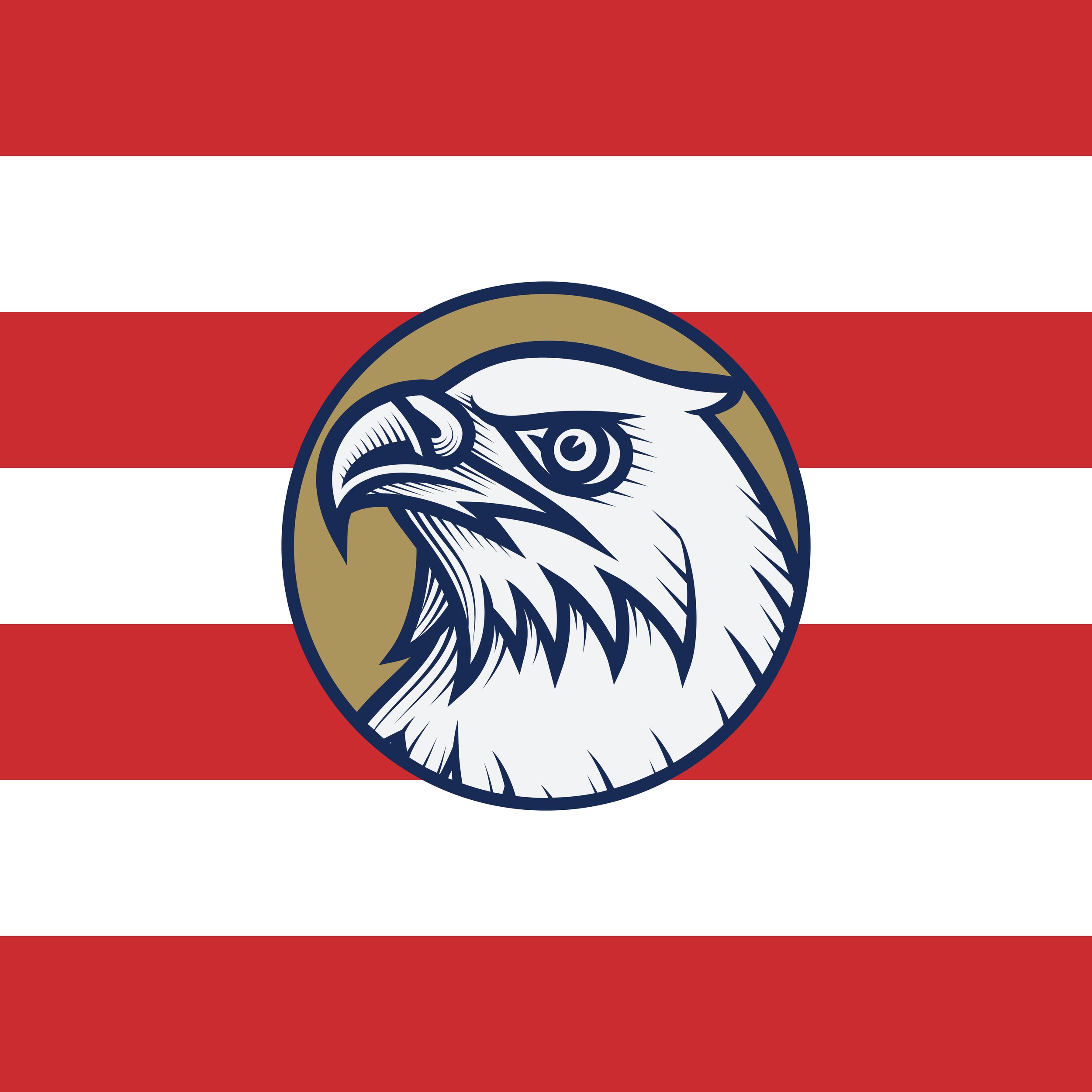 Portfolio_SolarEagle7.jpg