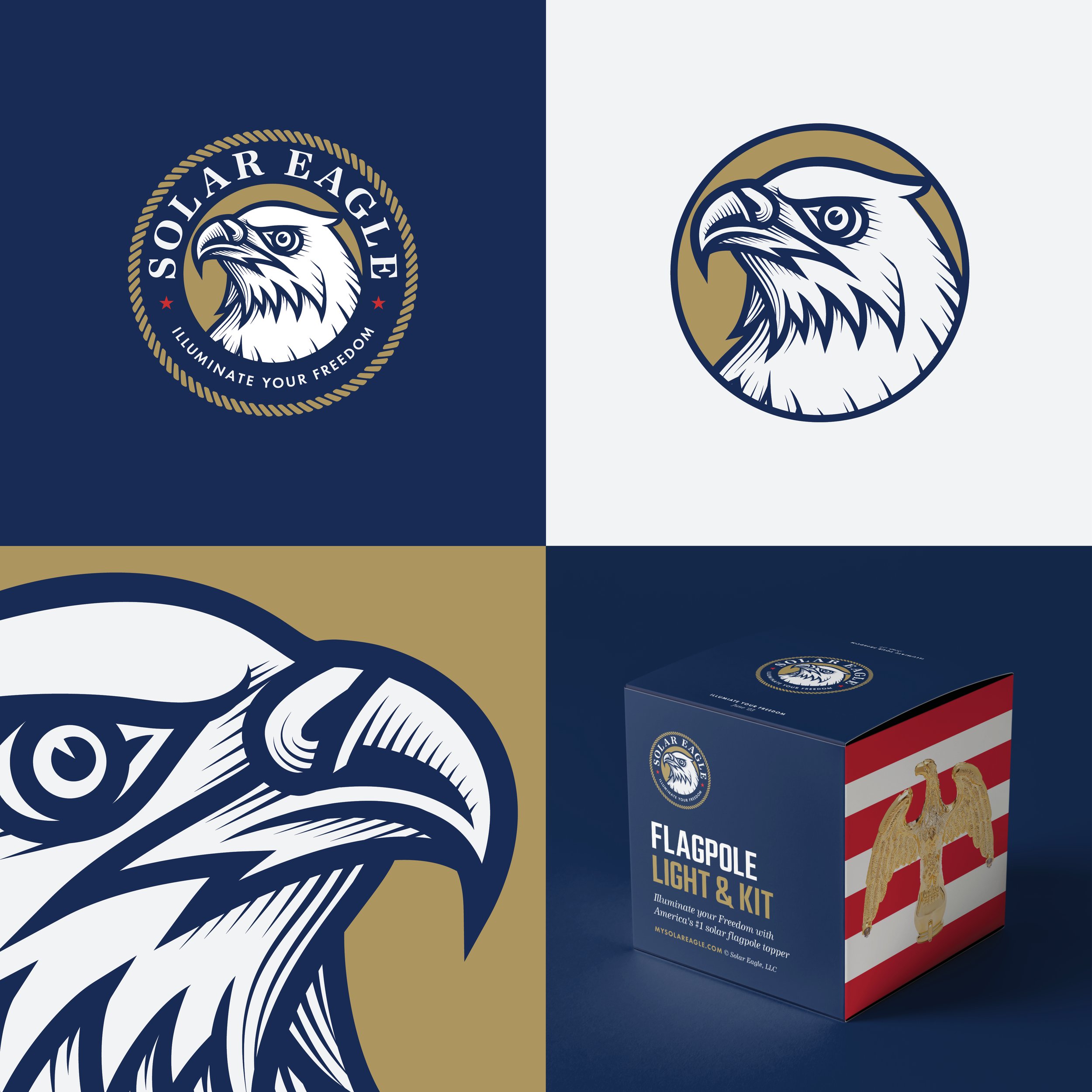 Portfolio_SolarEagle.jpg