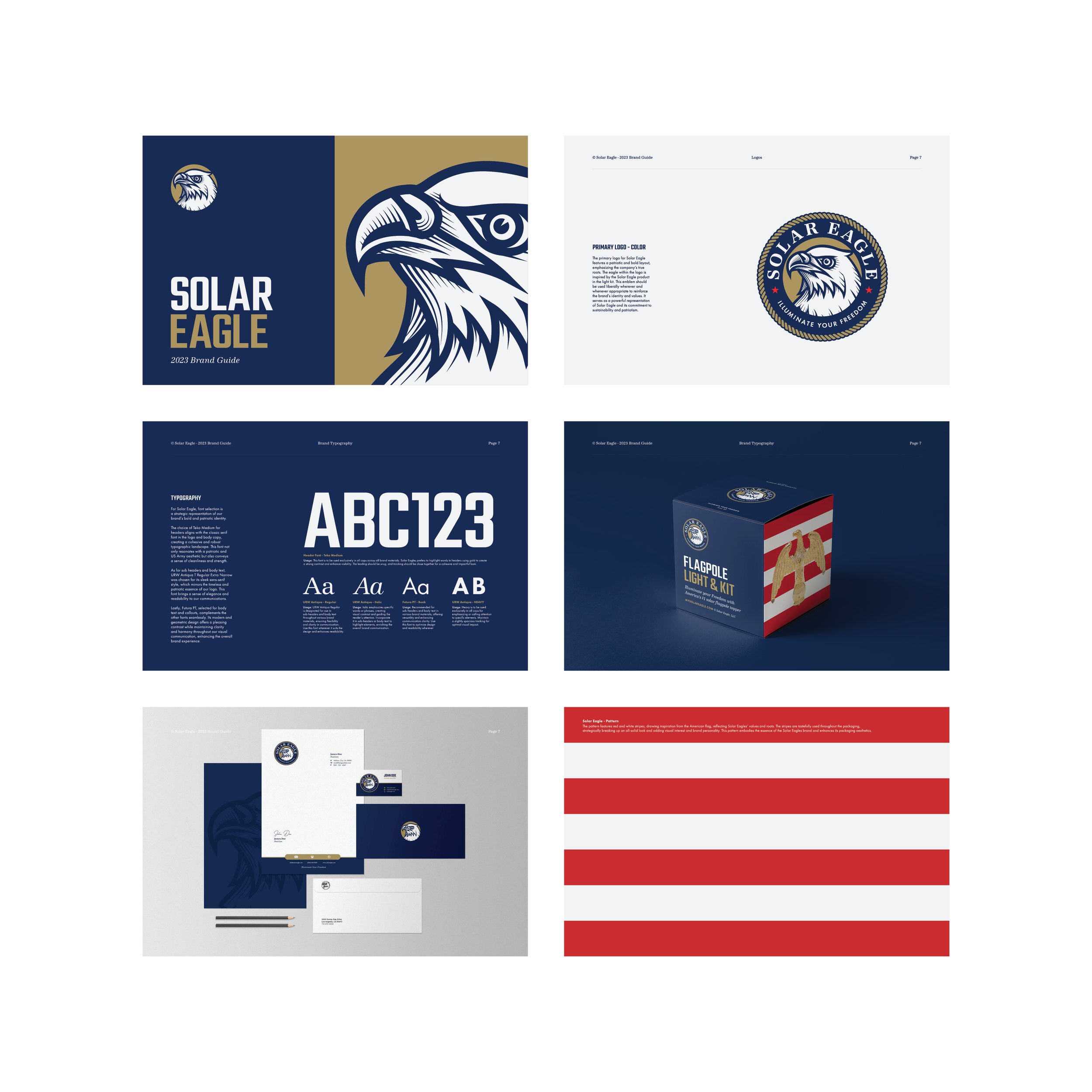 Portfolio_SolarEagle5.jpg