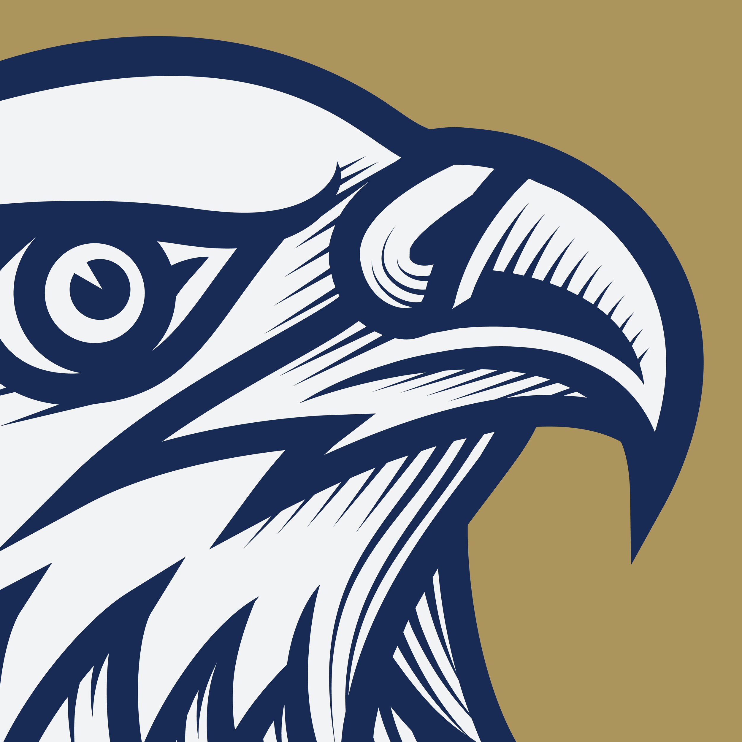 Portfolio_SolarEagle3.jpg