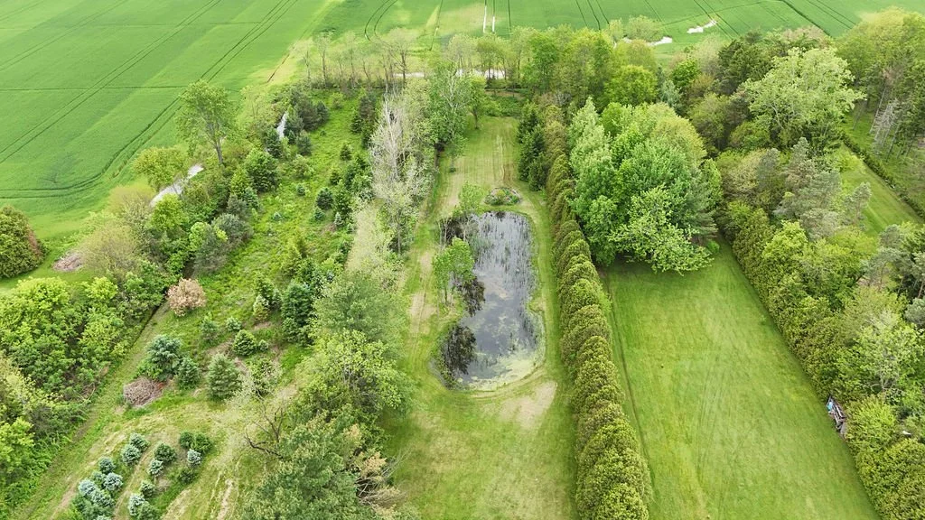 DJI_20241114093504_0982_D.JPG