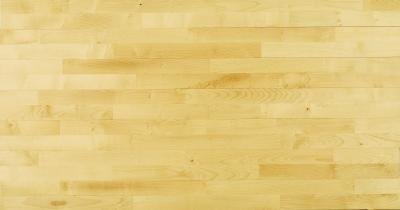 Beech solid timber sports floors