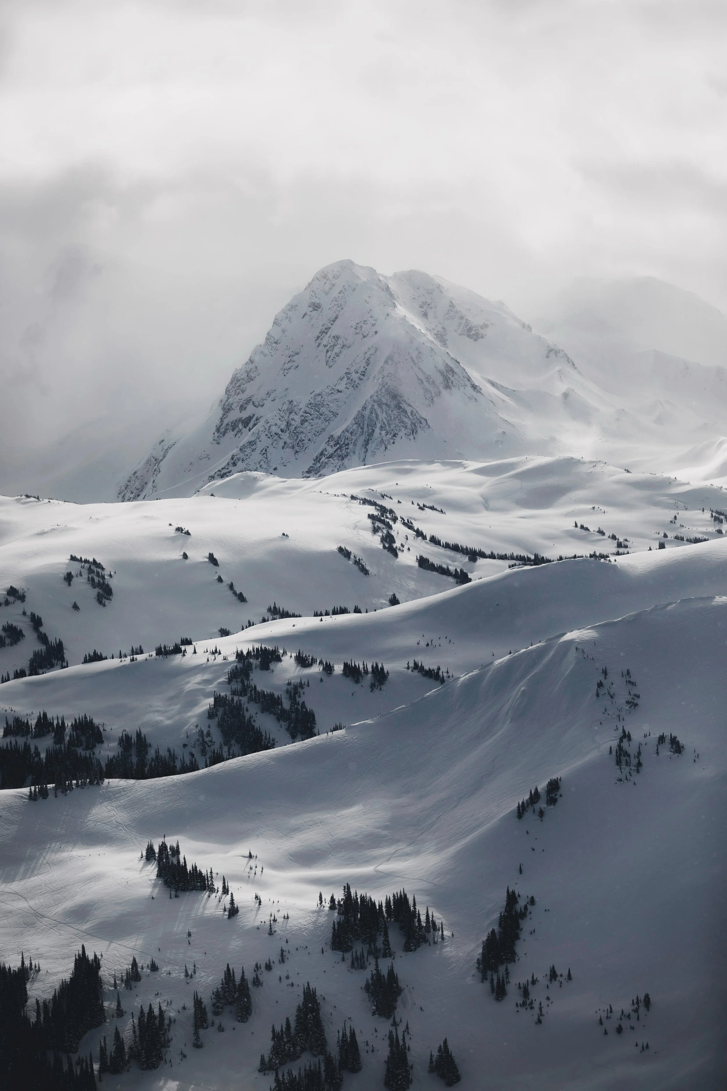 Silver-Lining-Final-for-print 2.jpg