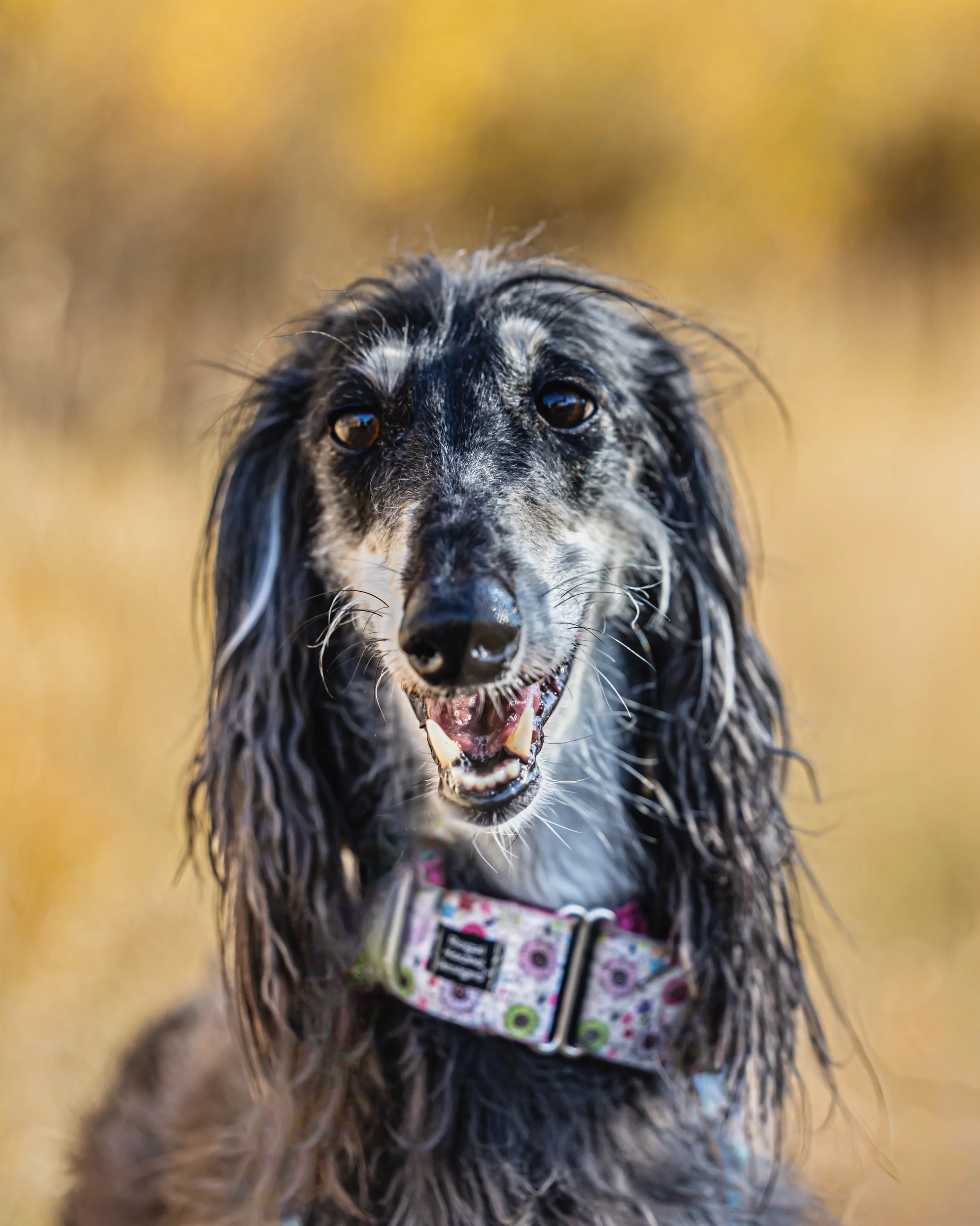 JennyRaeBatemanPhotography_8G2A6325.jpg