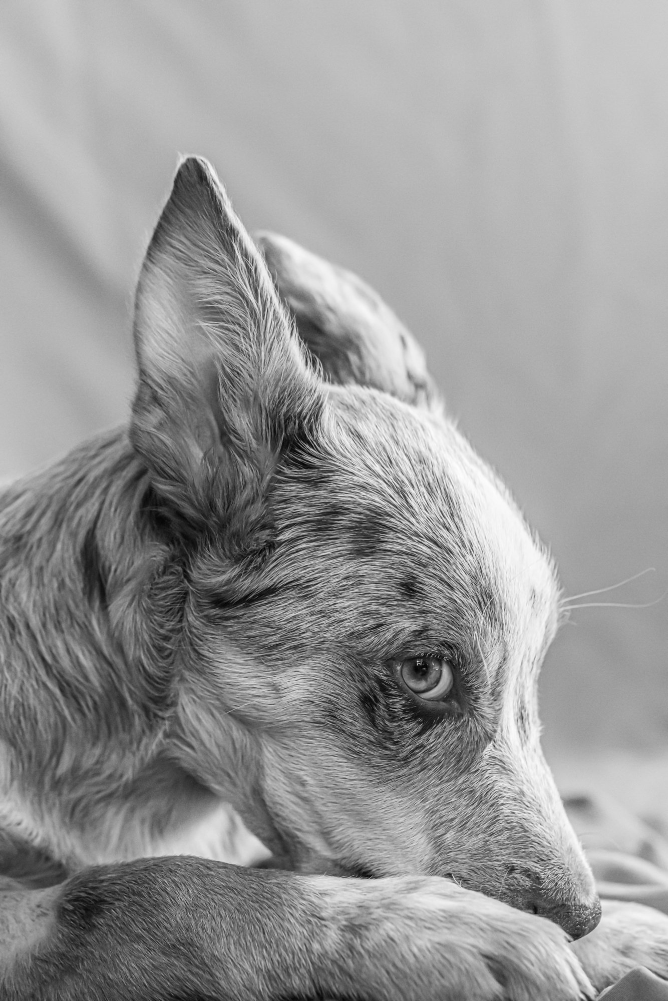 FP8A9541.jpg