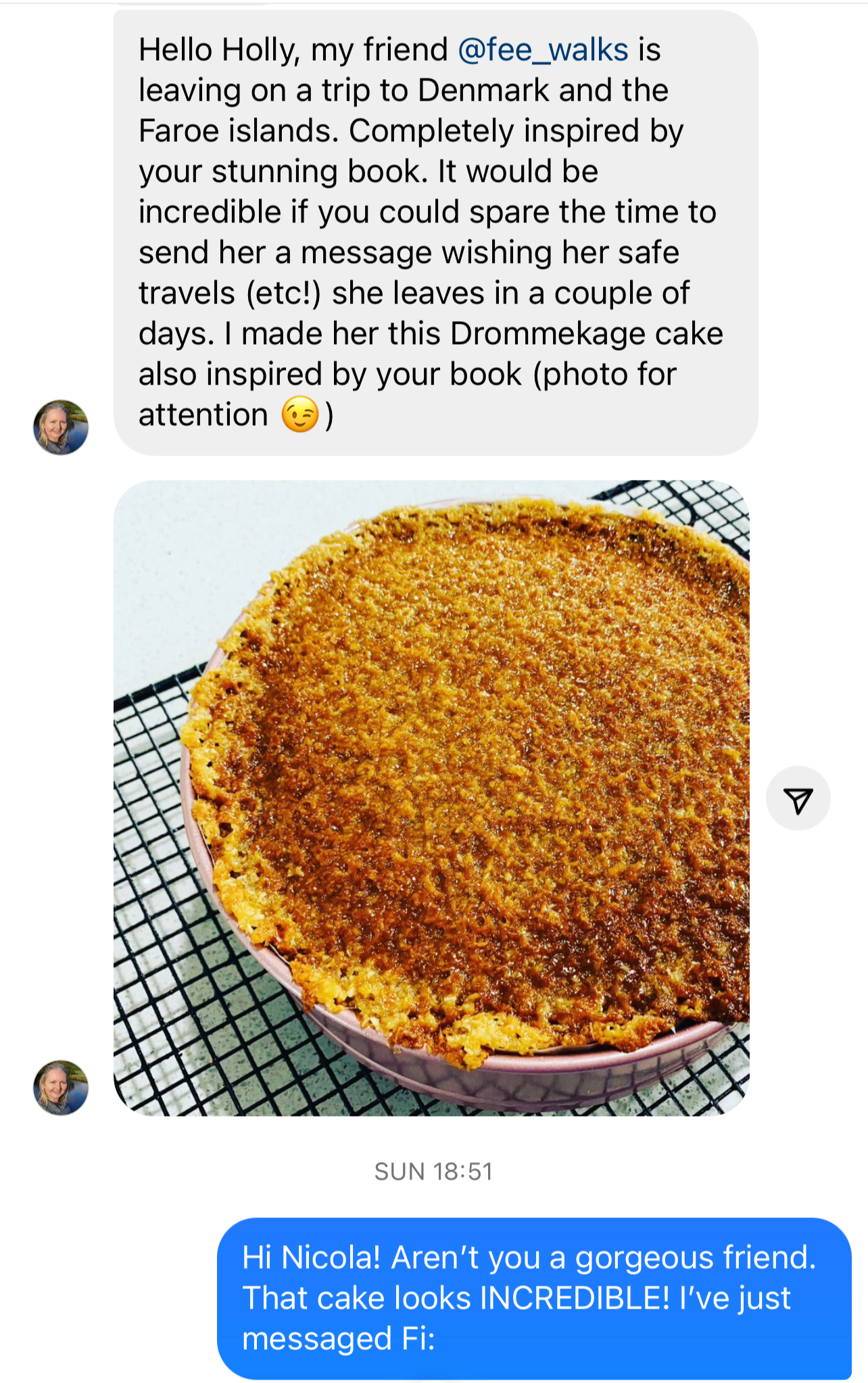 Close-up image of a large, round, golden-brown cake with a crumbly crust, resting on a wire cooling rack.