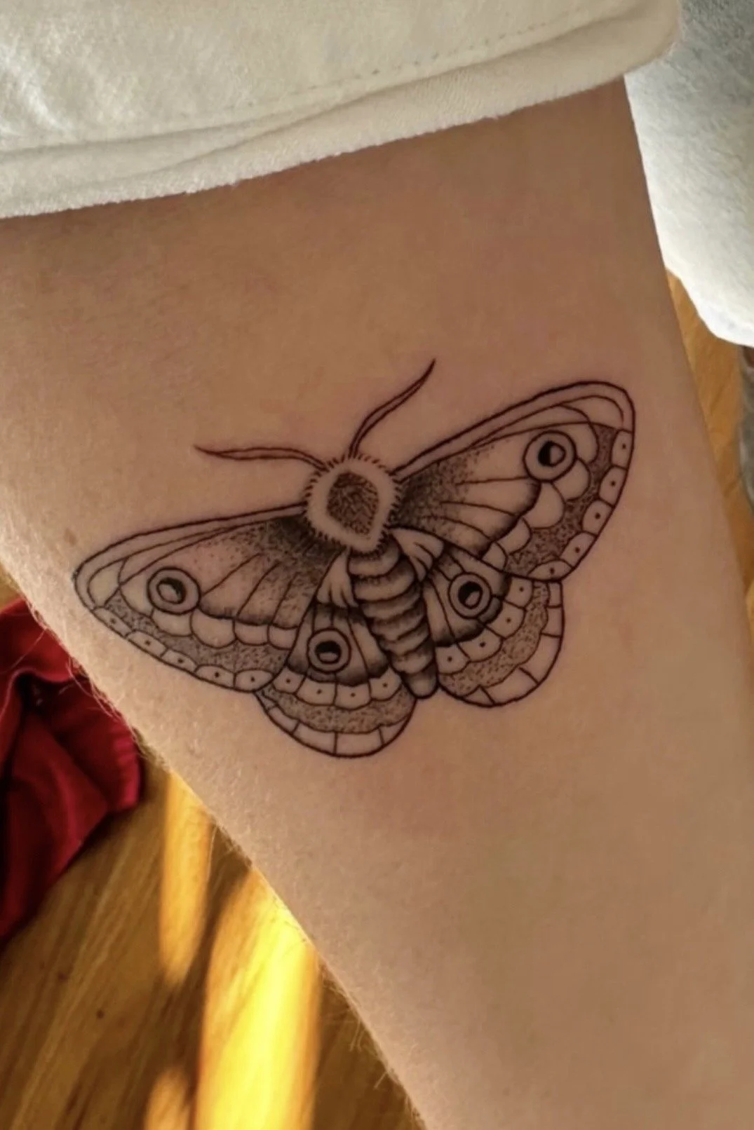 Inspired by Esther Wilding