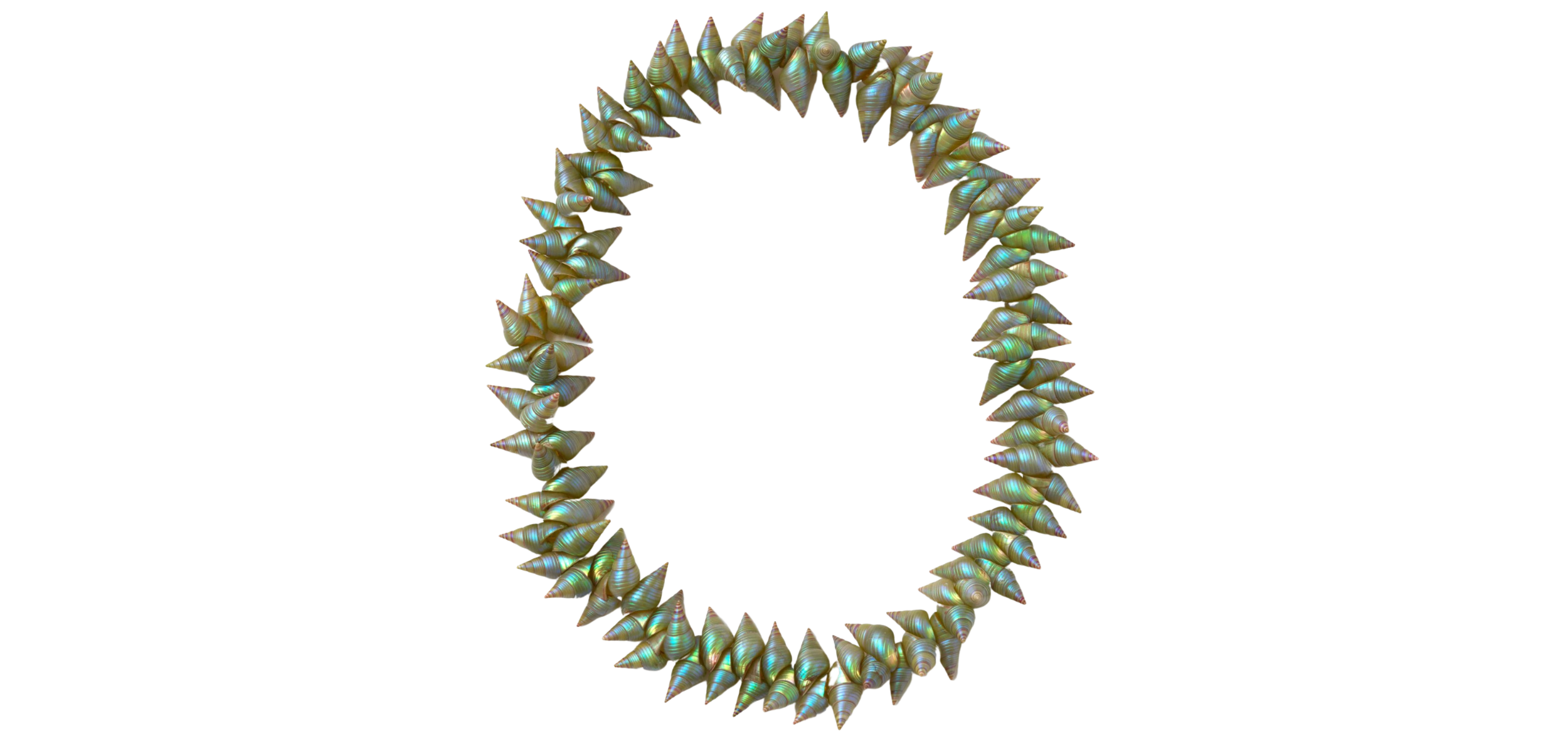 Frame with a white rectangle bordered in turquoise, surrounded by a ring of conch shells.