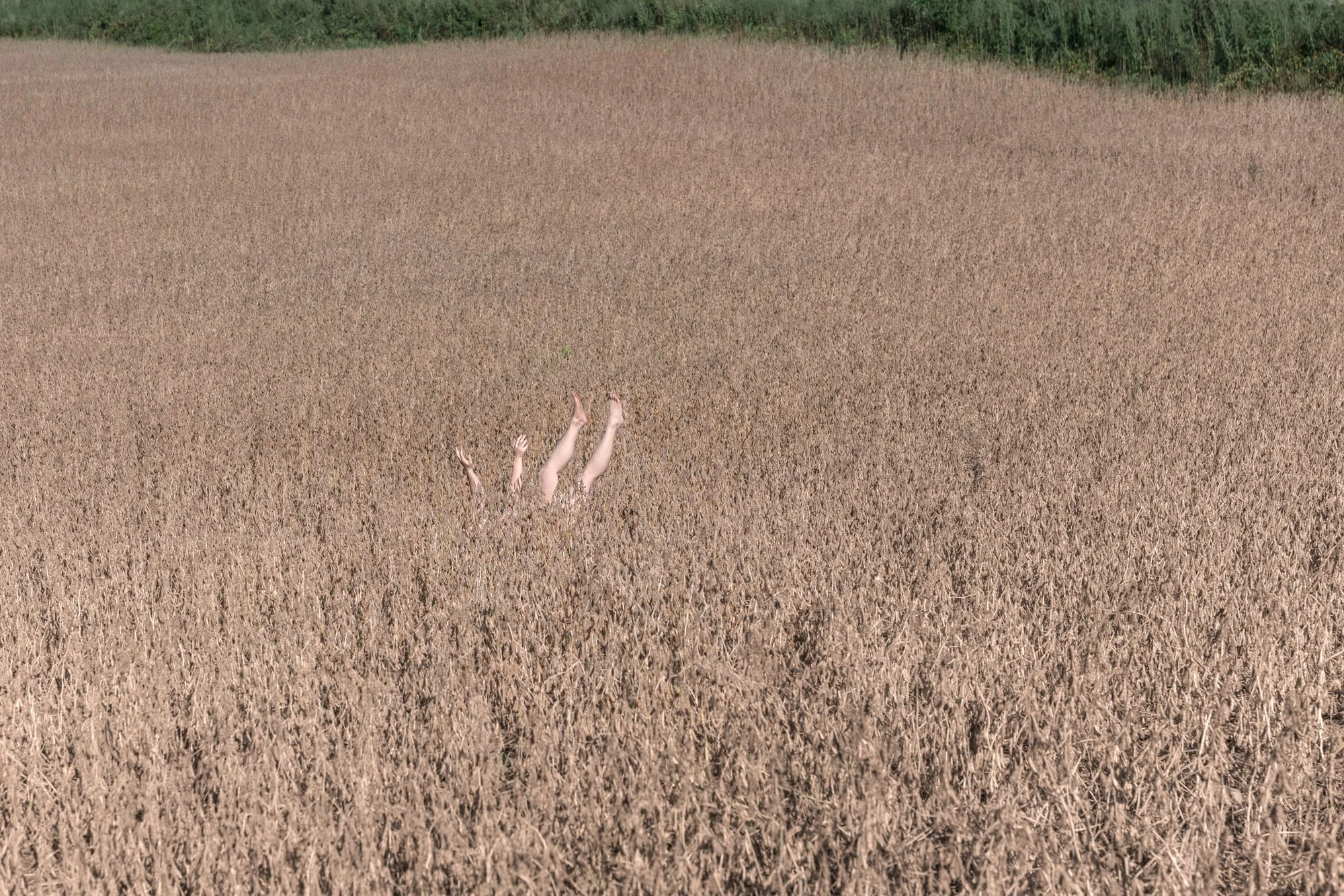 Could Be Worse, 2018