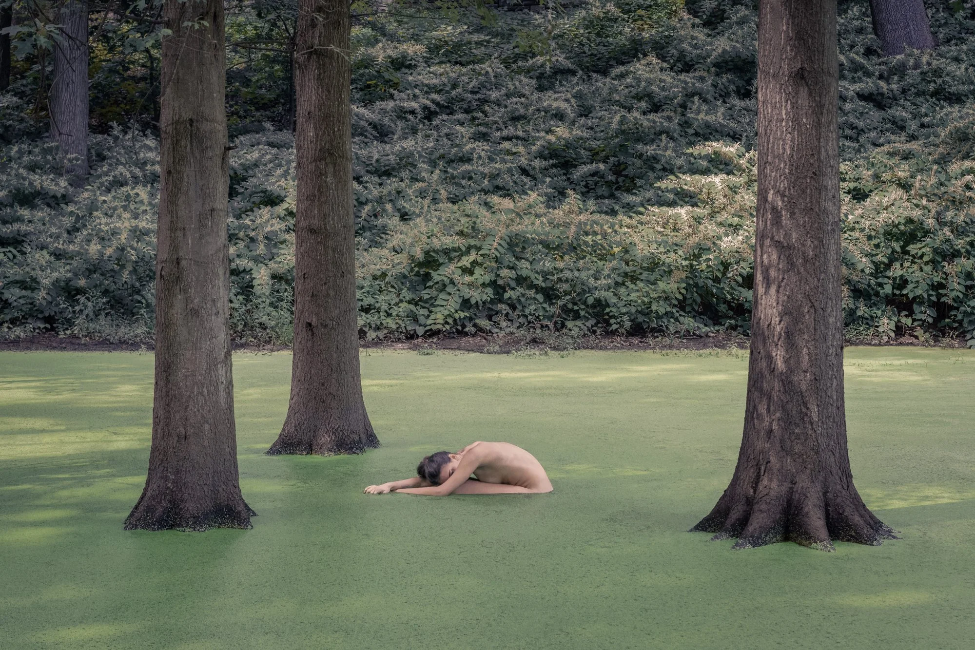 The Thick of It, 2017