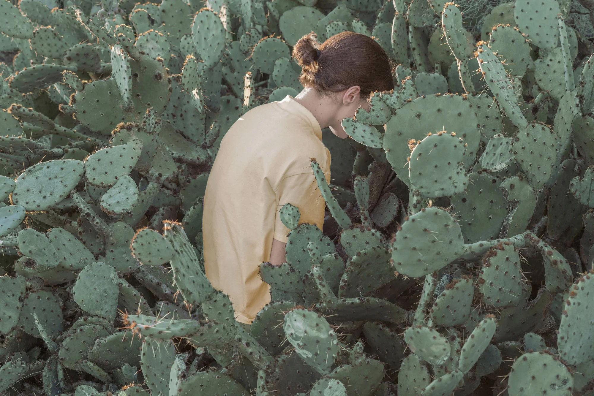 Predicament II, 2018