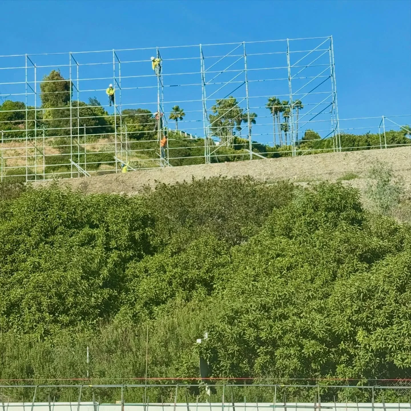 WEEE&rsquo;VE BEEN SITTING ON THE FENCE FOR FAR TOO LONNNNG