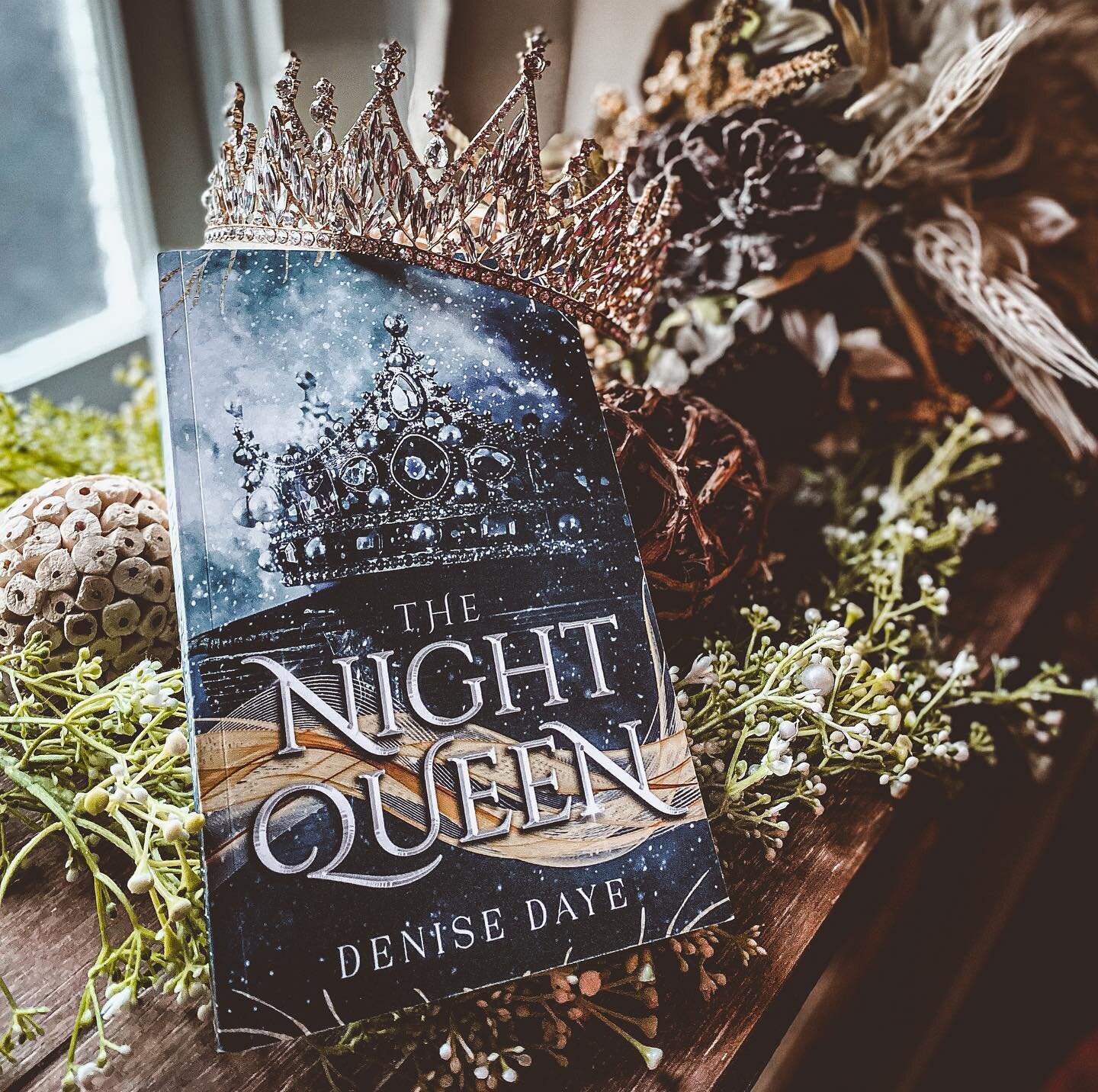 Hello bookworms!

Today&rsquo;s post is a spotlight on @ddayebooks The Night Queen! I just finished this yesterday and it was such a fun ride!

We follow Princess Mina, who&rsquo;s mother dies on her birthday at a young age. Fast forward, Mina is now