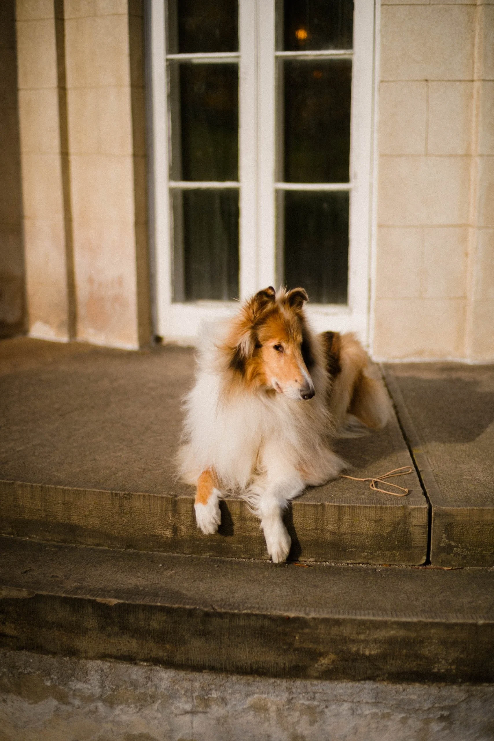 S1310005-John & Katherine Weddings 2025.jpg