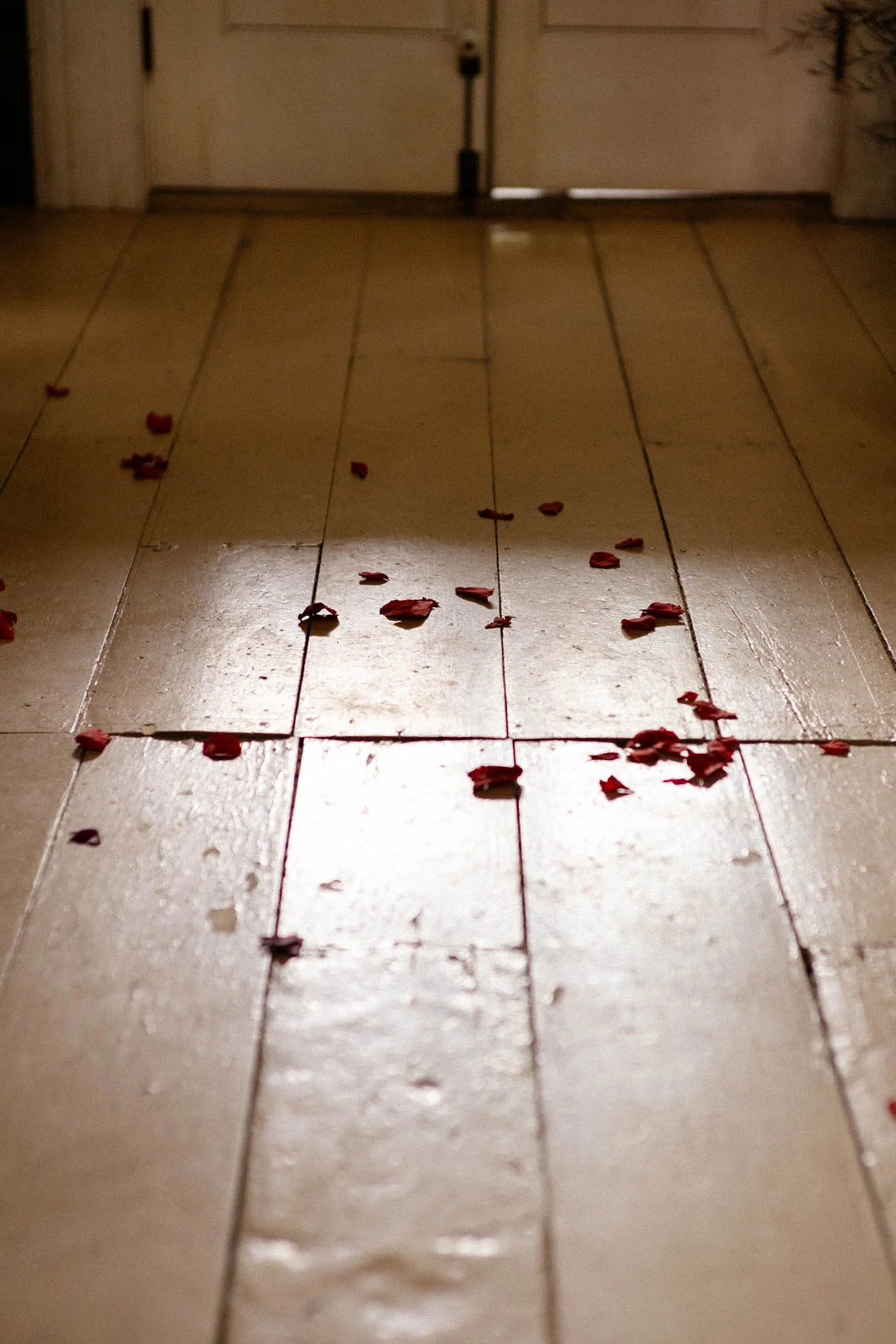 1ST09170-John & Katherine Weddding 2025.jpg