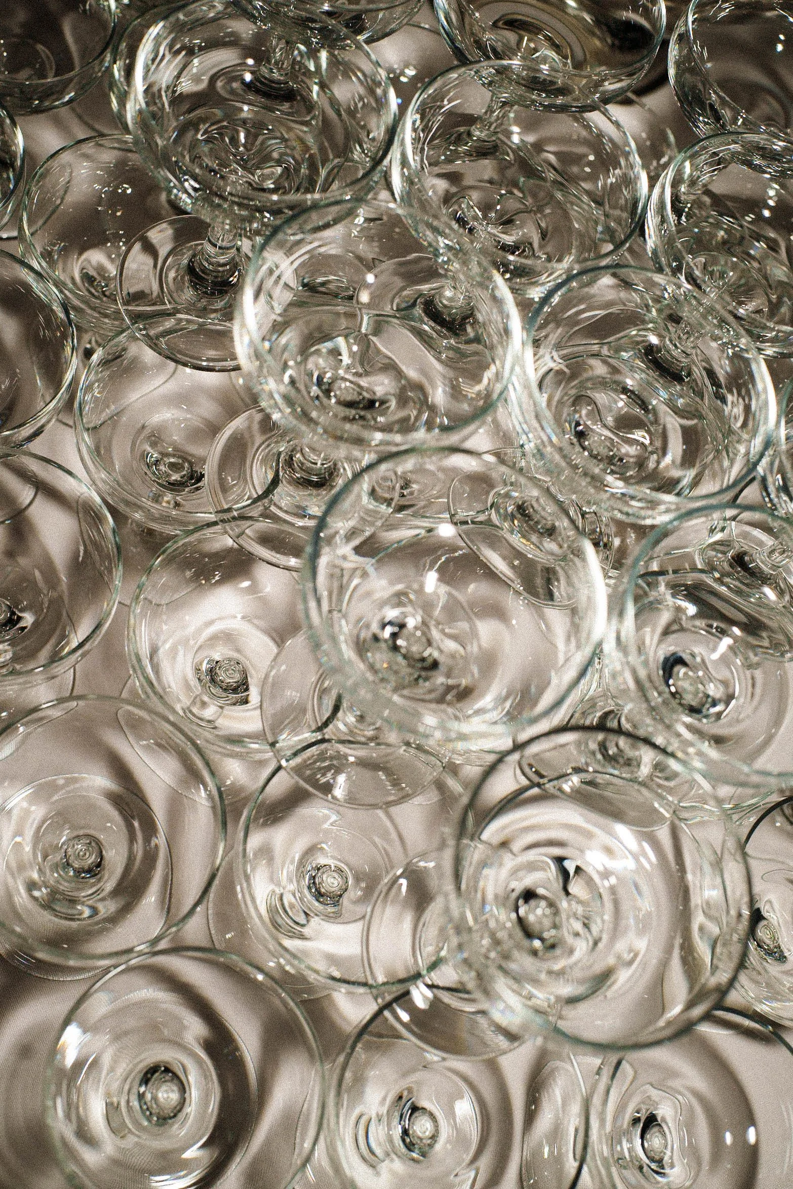 1ST06713-Thomas & Stefany.jpg