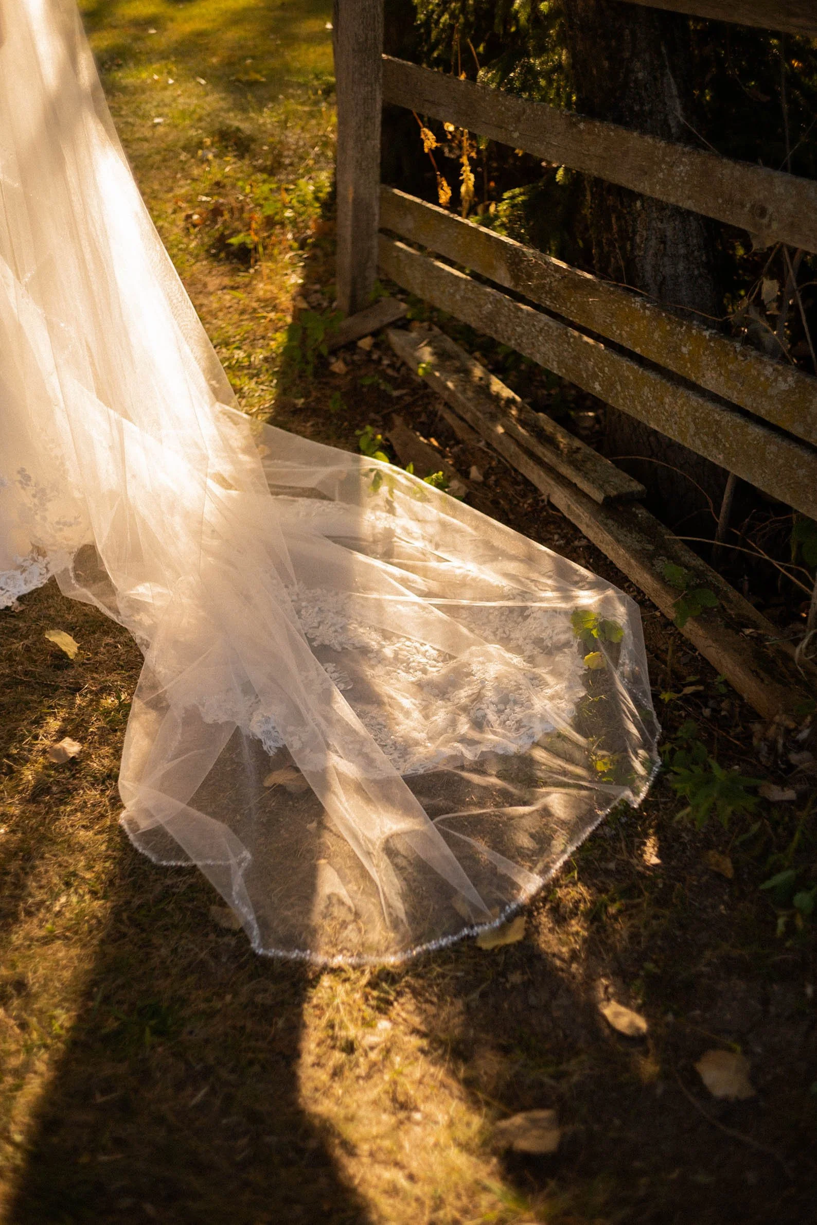 246-1ST05970-Jennica & Matt.jpg