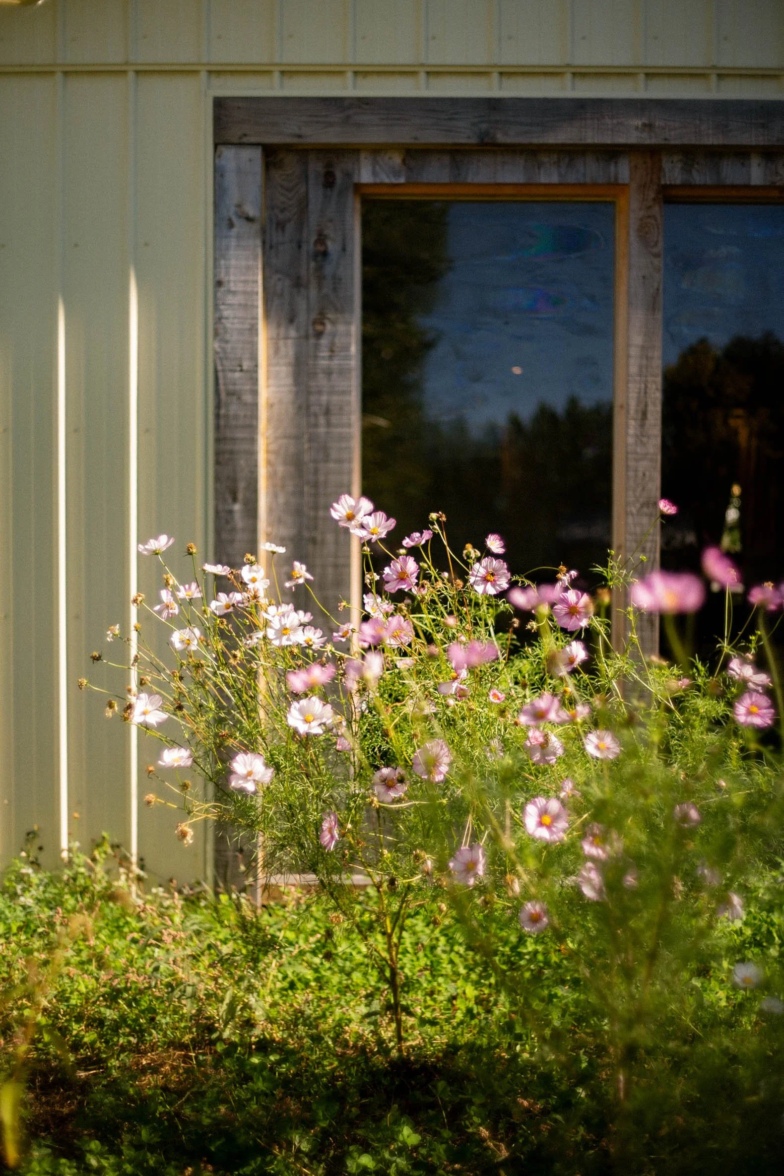 91-1ST05769-Jennica & Matt.jpg