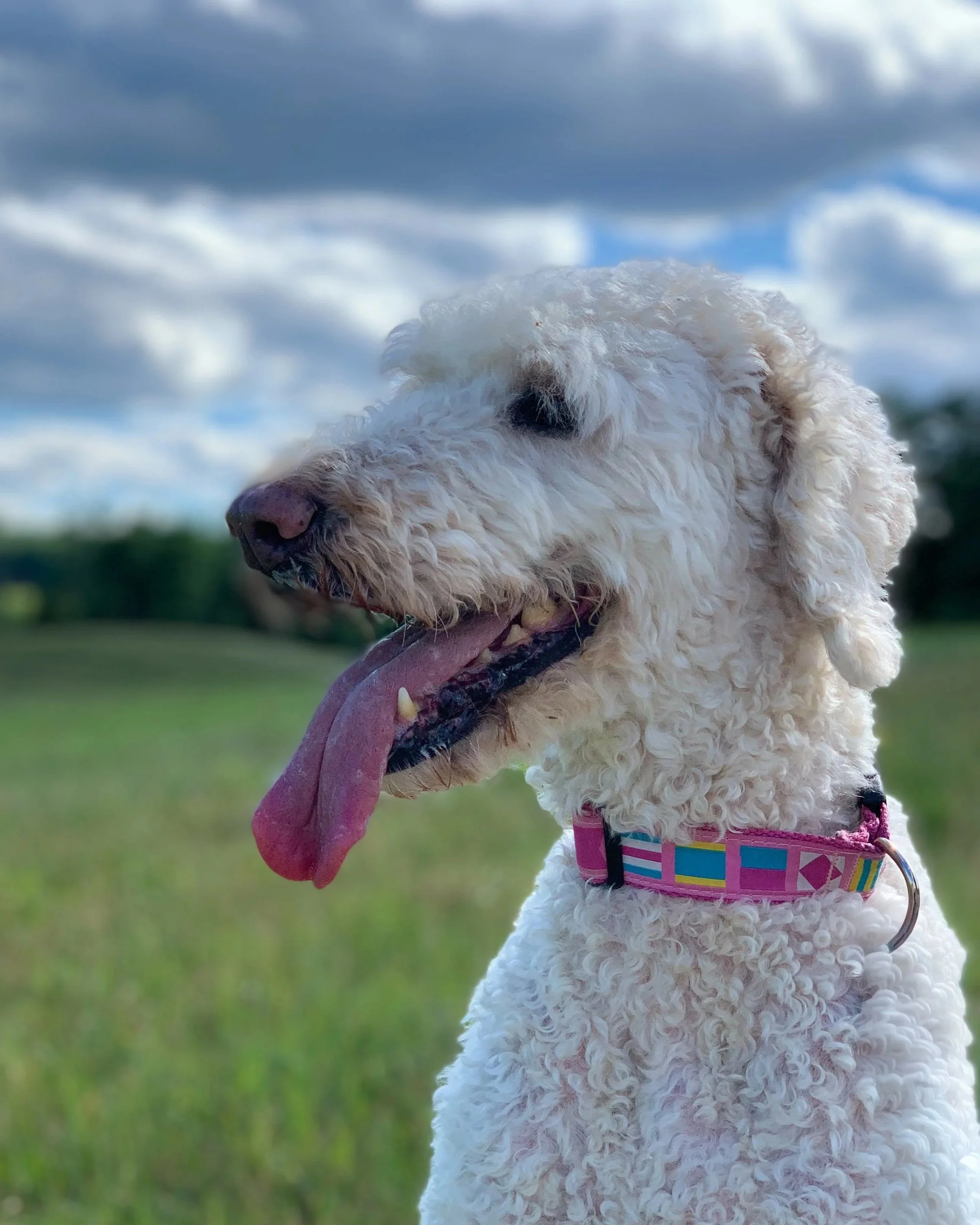 Luna Cunningham
