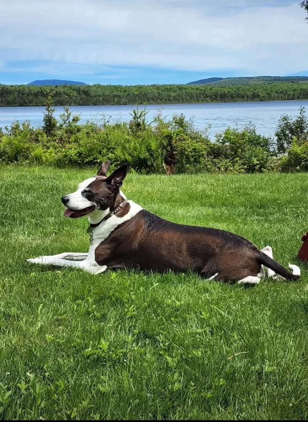 Screenshot_20251229_092134_Facebook (1).jpg