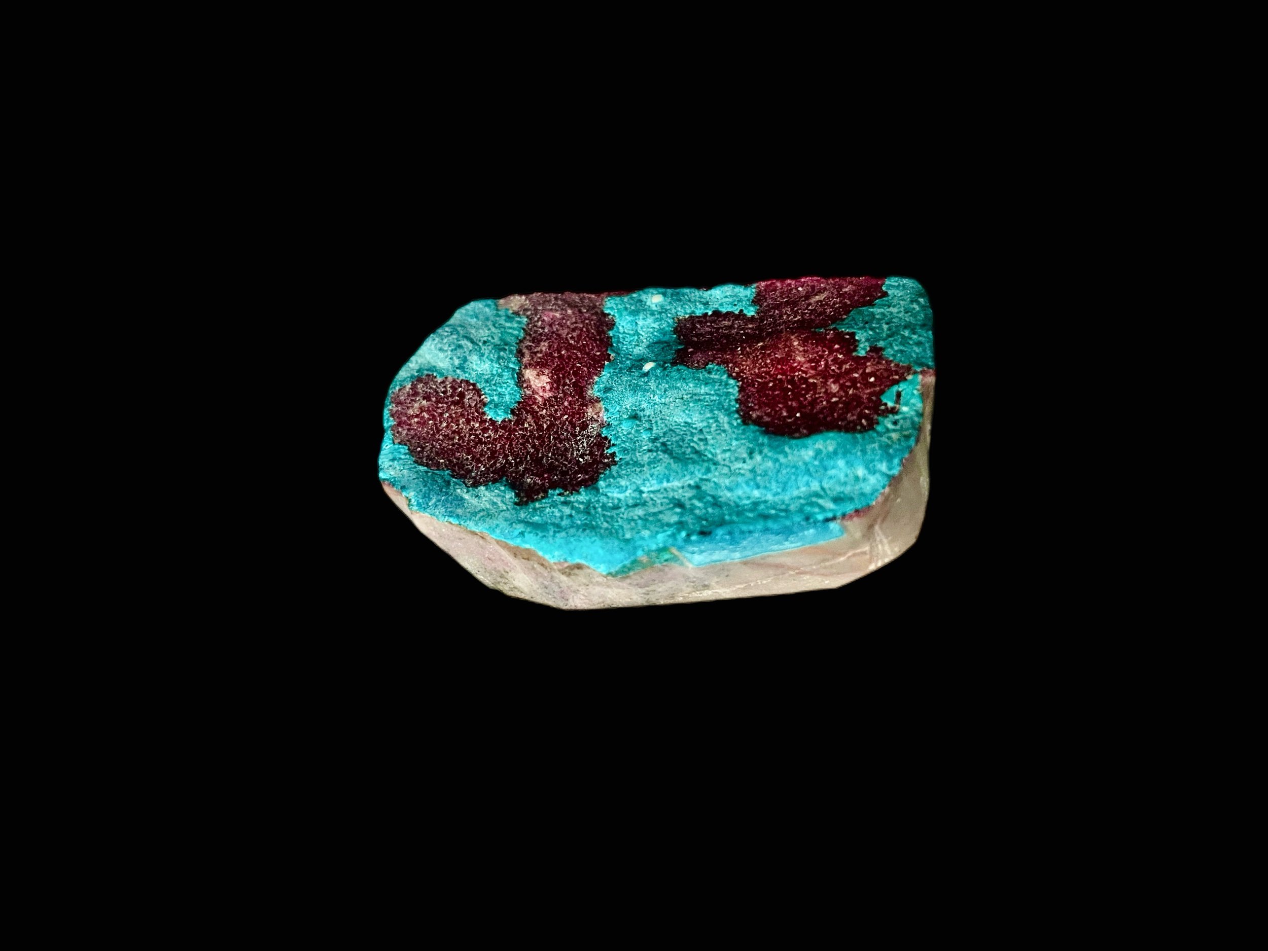 B49A2D80-1D0C-4BC6-A2C7-31A66B2D3142.jpeg