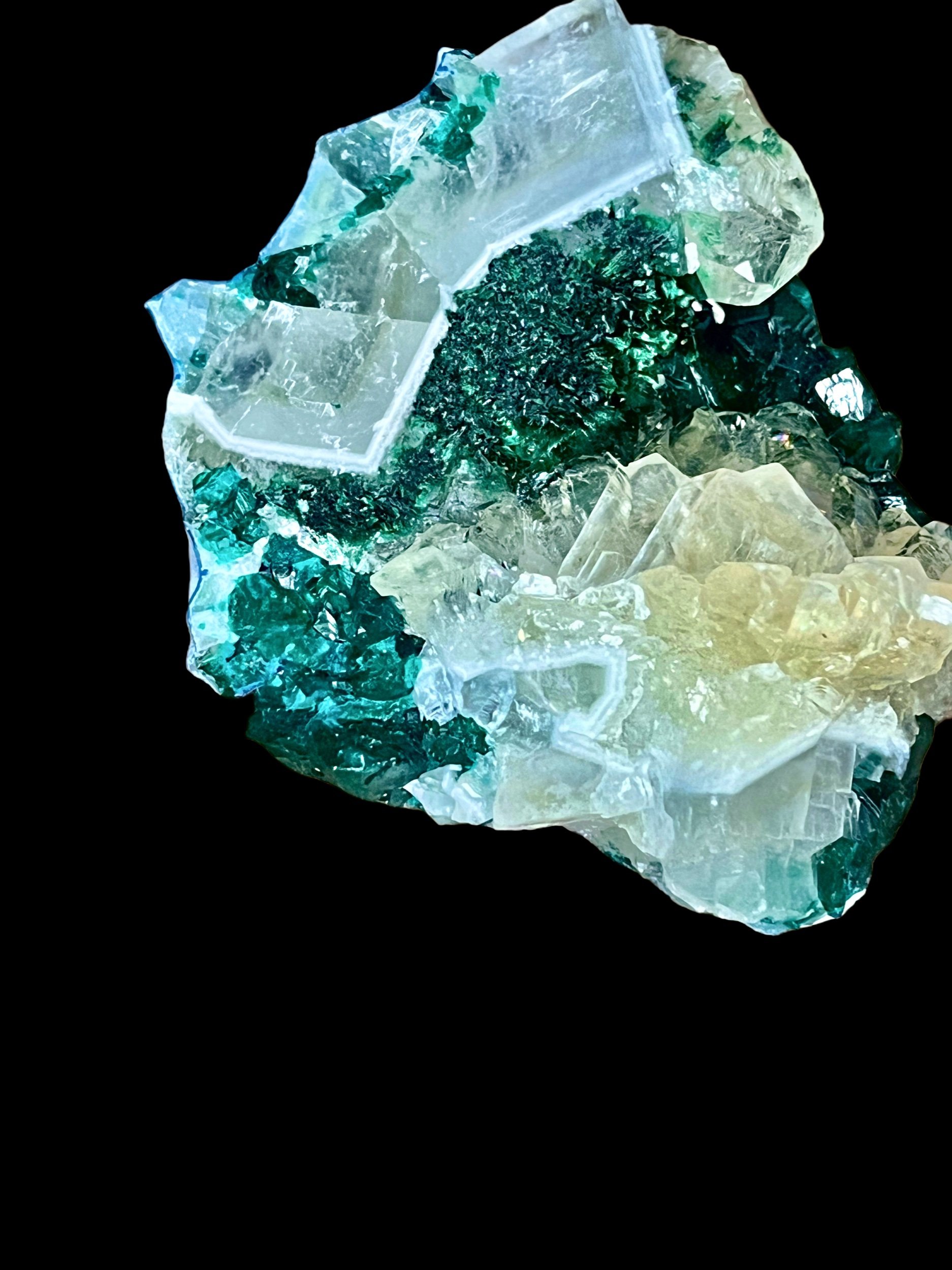 4728E994-1D4A-45B6-B2CC-85610A158B83.jpeg