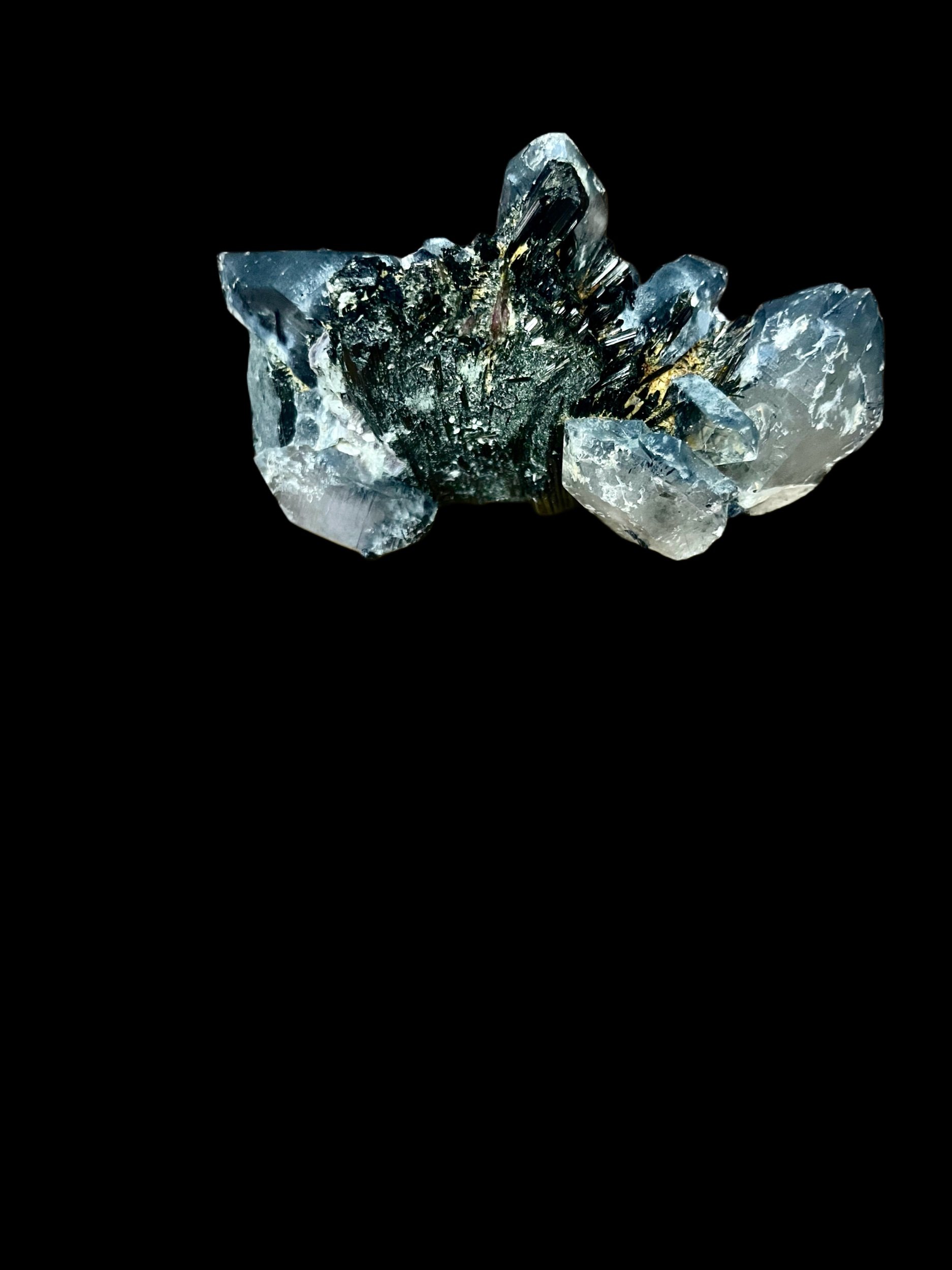 475D2D35-077E-4538-8D85-155762AE775B.jpeg