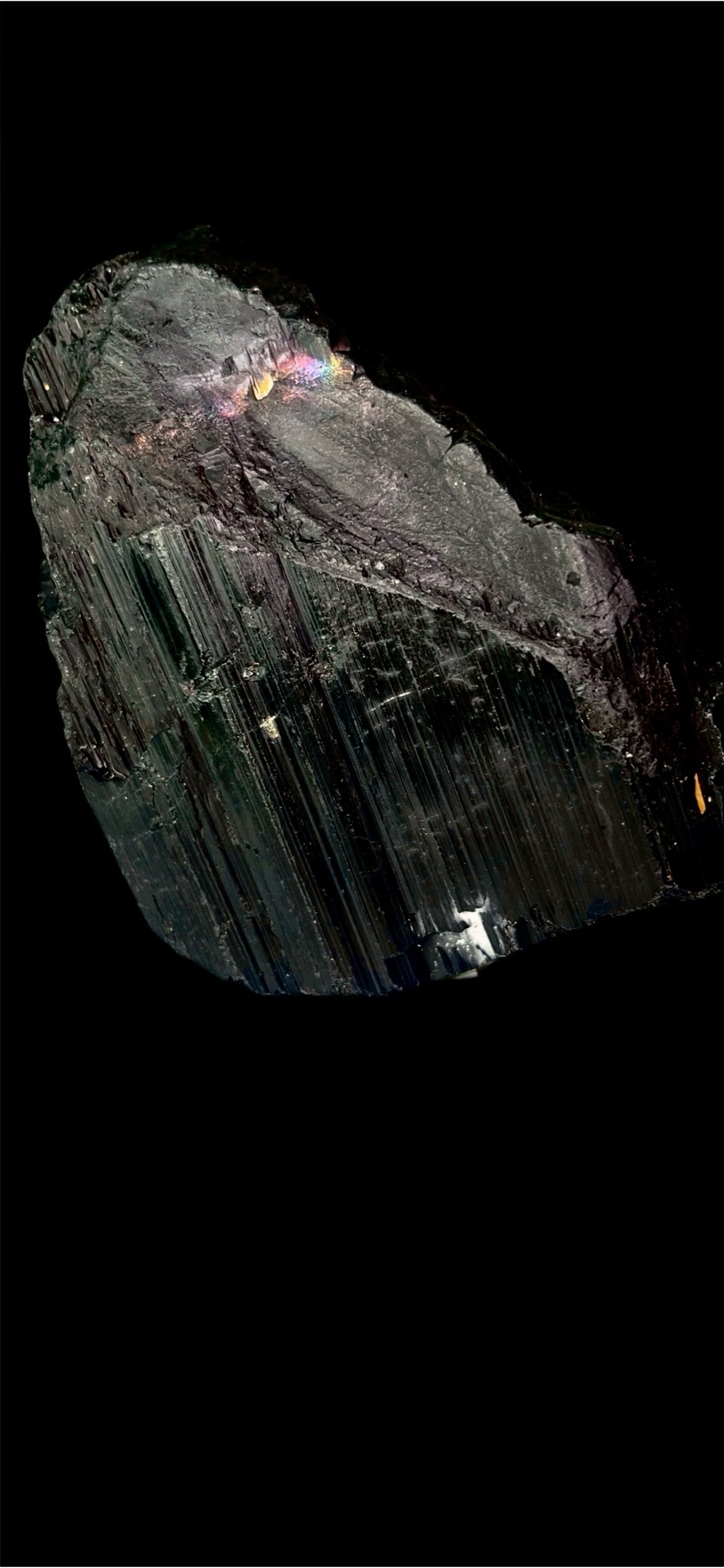 D0FB55D4-3856-484F-BAAE-0C1DE9F9F8A6.jpeg