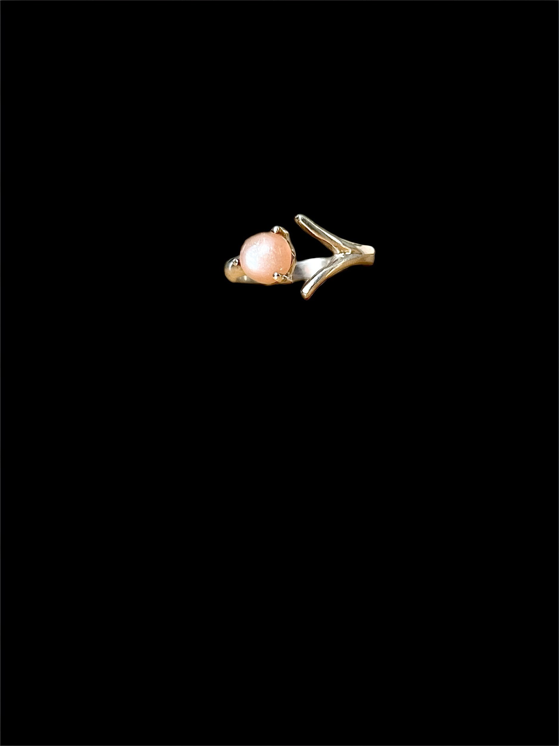 D8EF7AA1-0D13-4C48-AAF5-39583A494DDD.jpeg