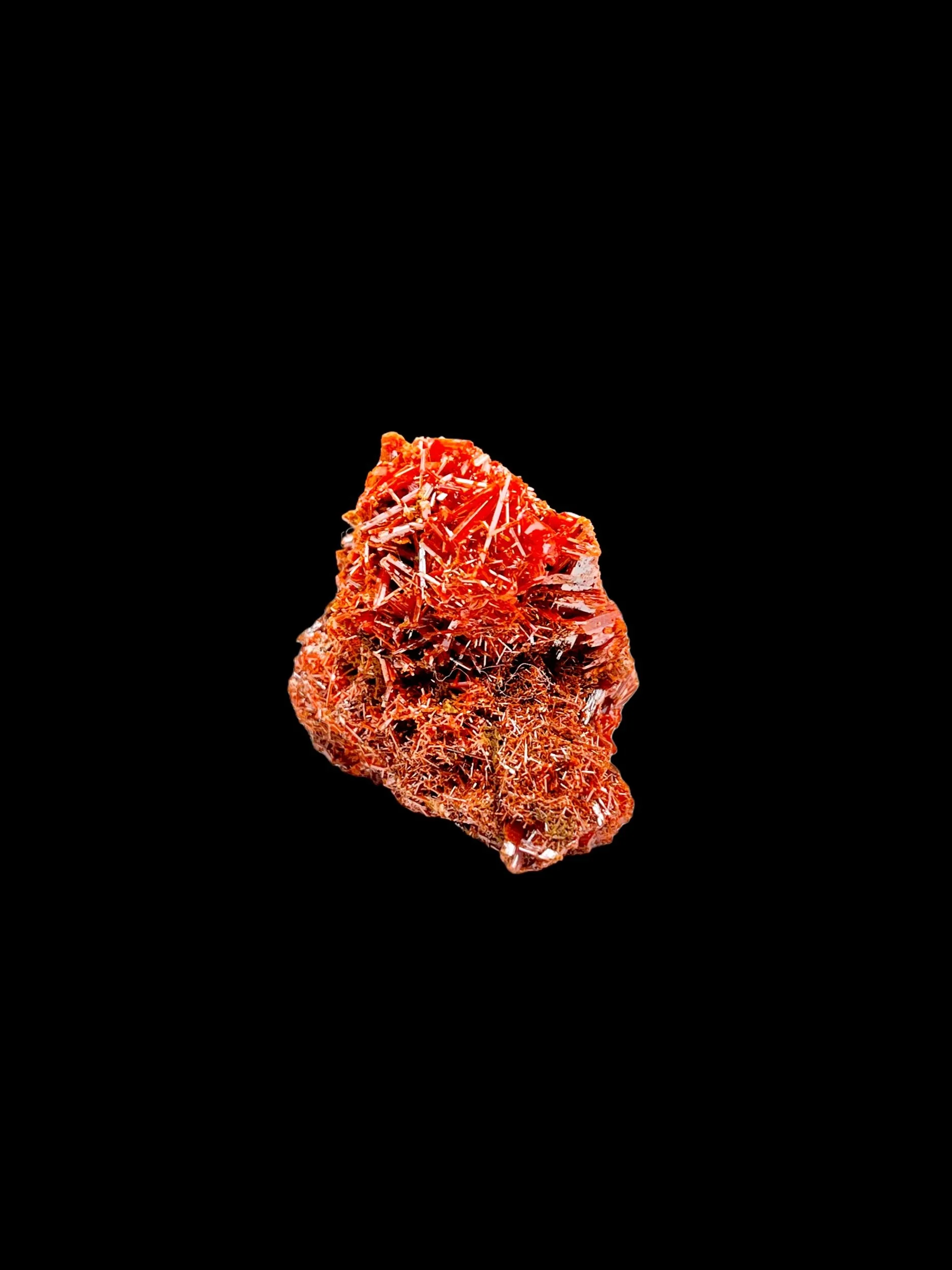 Dundas Tasmania Crocoite pocket specimen bright luster elongated crystal cluster